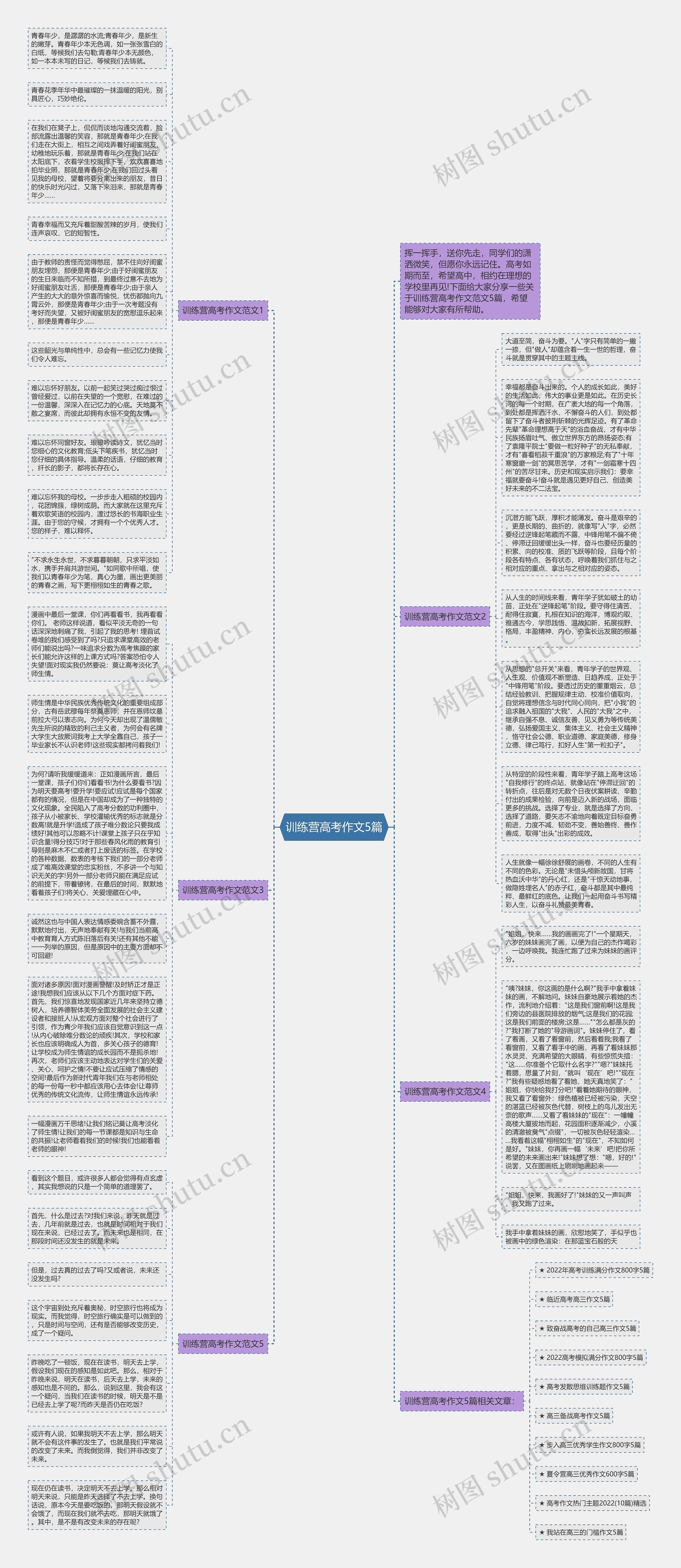 训练营高考作文5篇思维导图