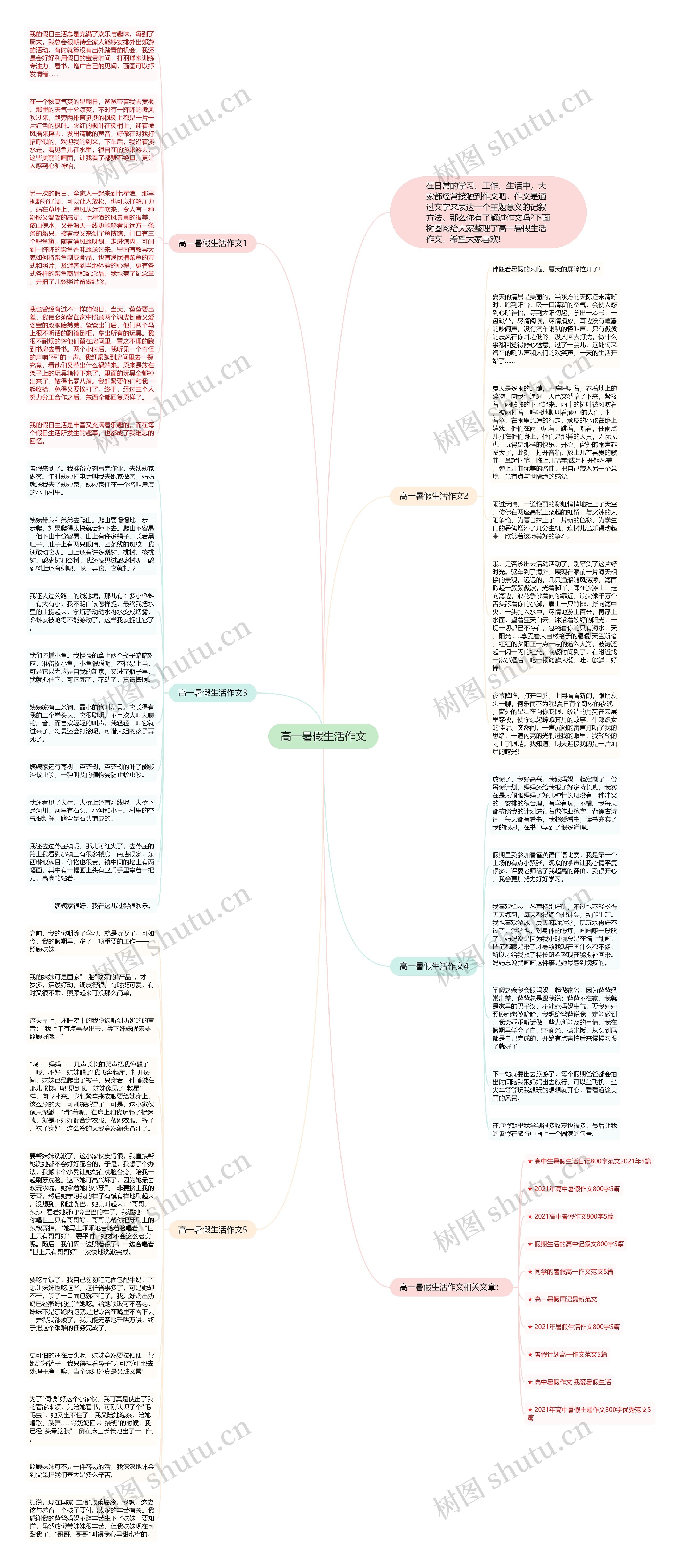 高一暑假生活作文思维导图