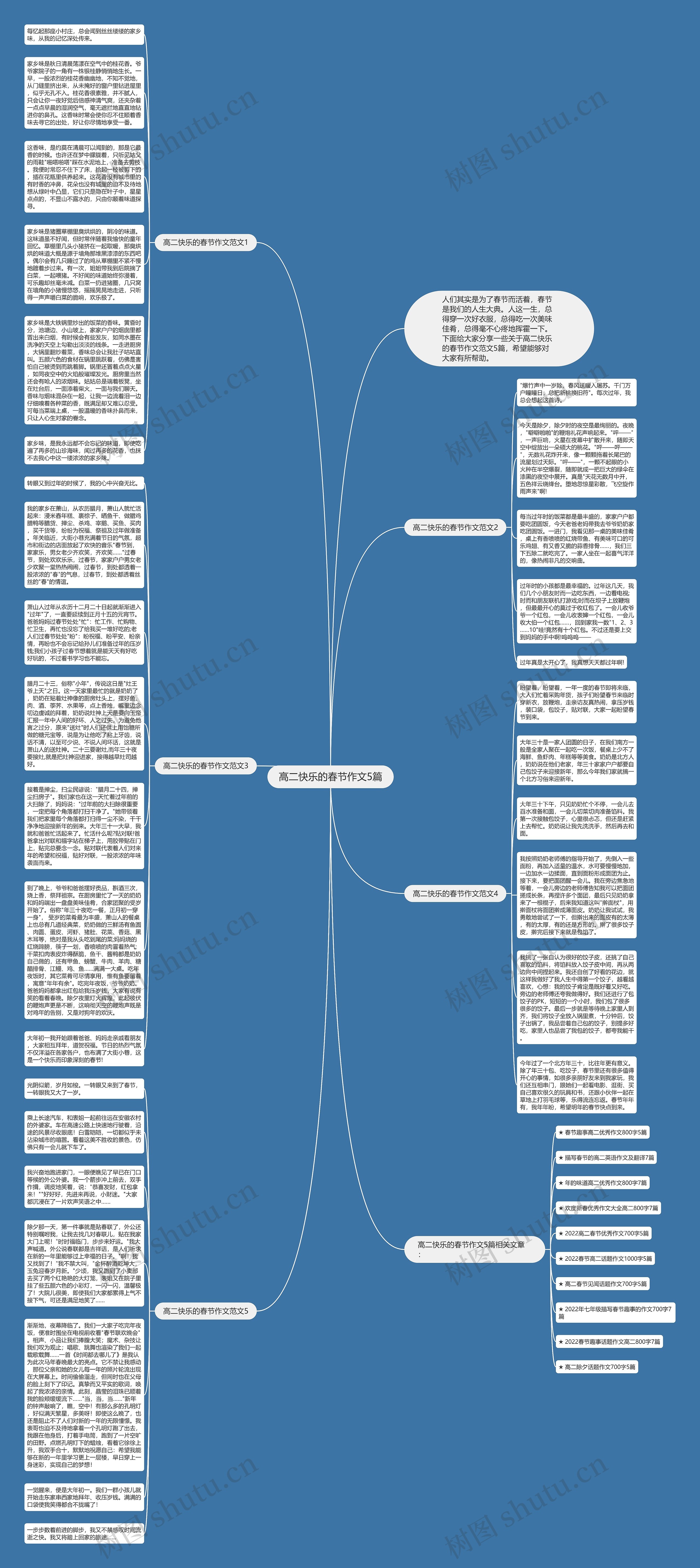 高二快乐的春节作文5篇思维导图