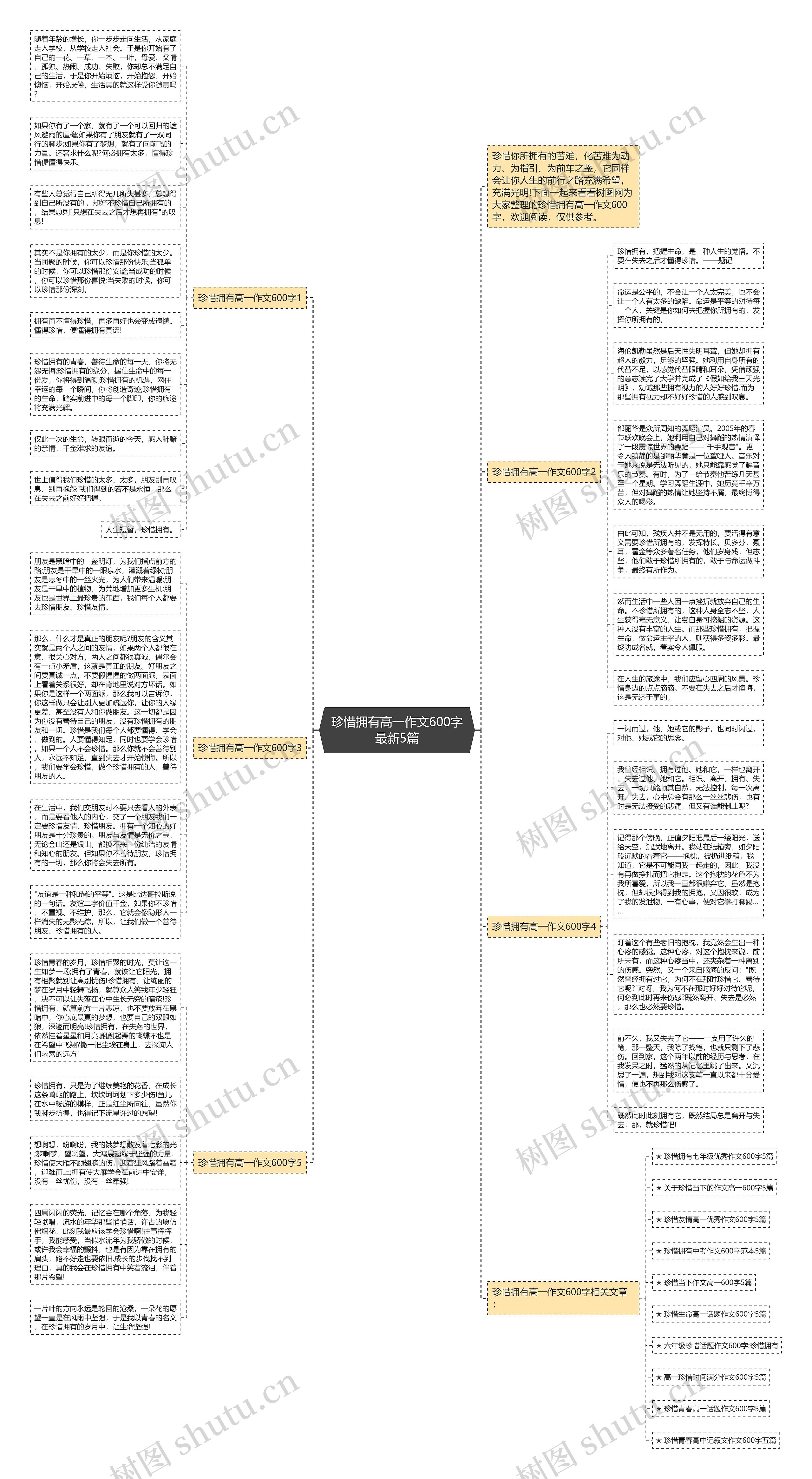 珍惜拥有高一作文600字最新5篇思维导图