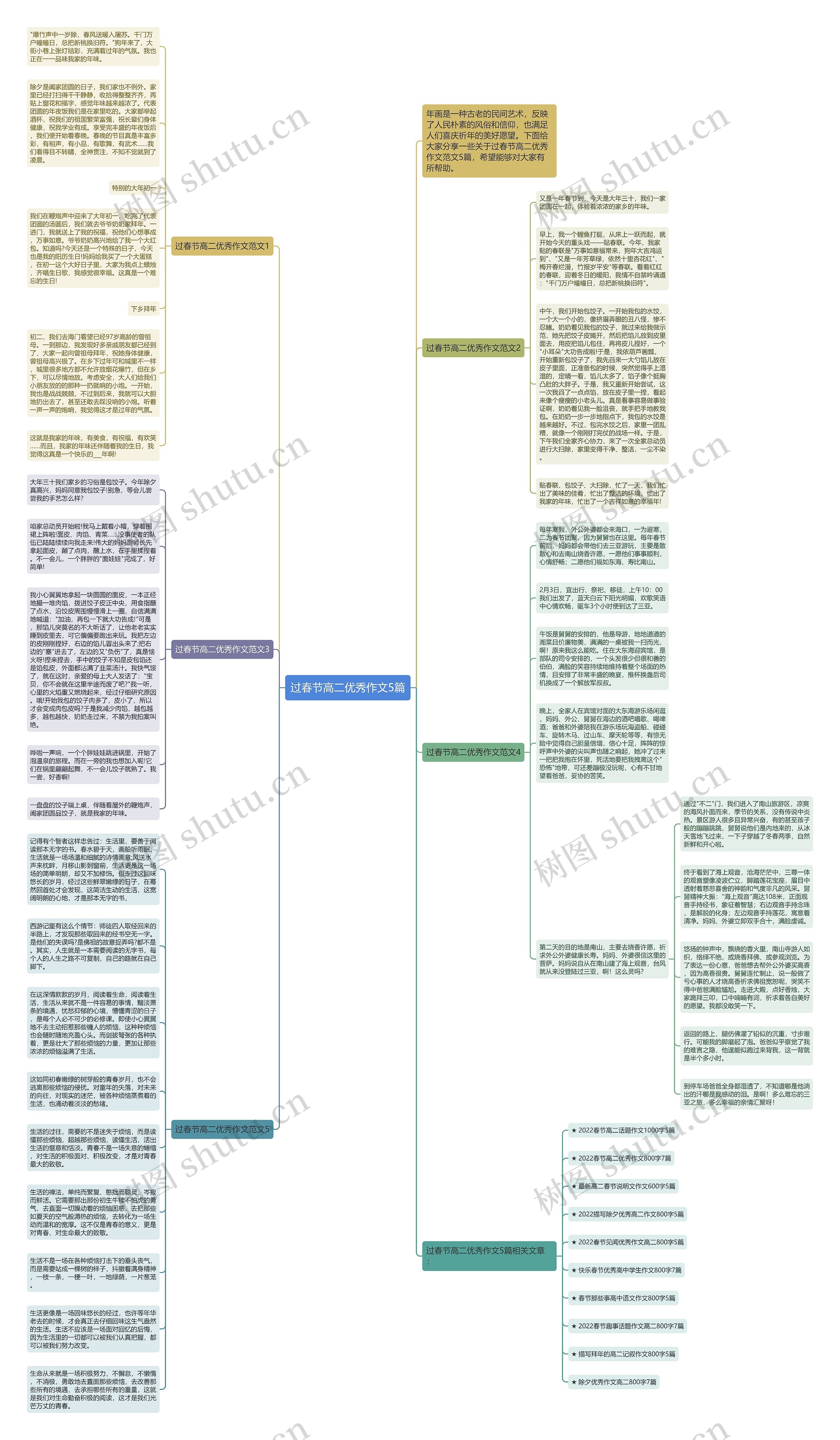 过春节高二优秀作文5篇思维导图