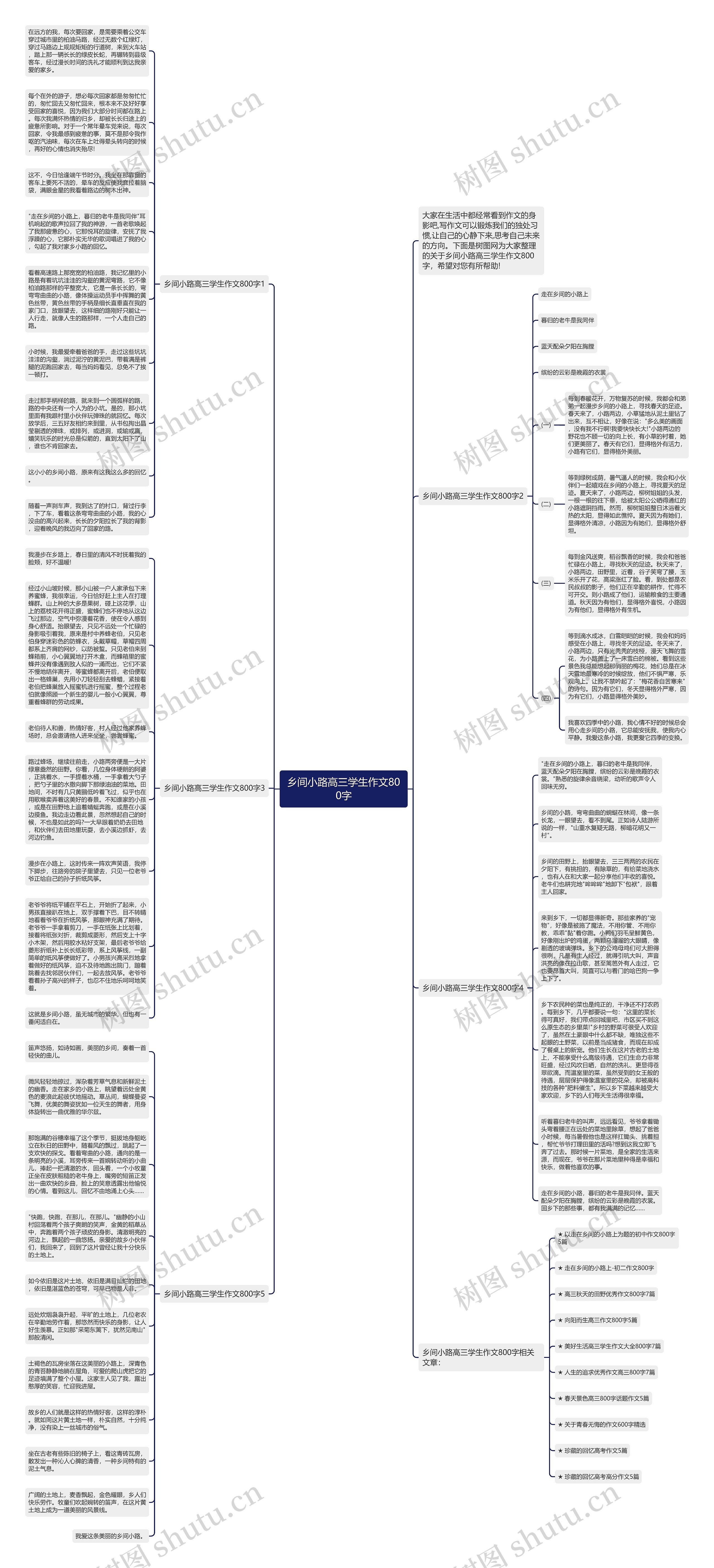 乡间小路高三学生作文800字思维导图