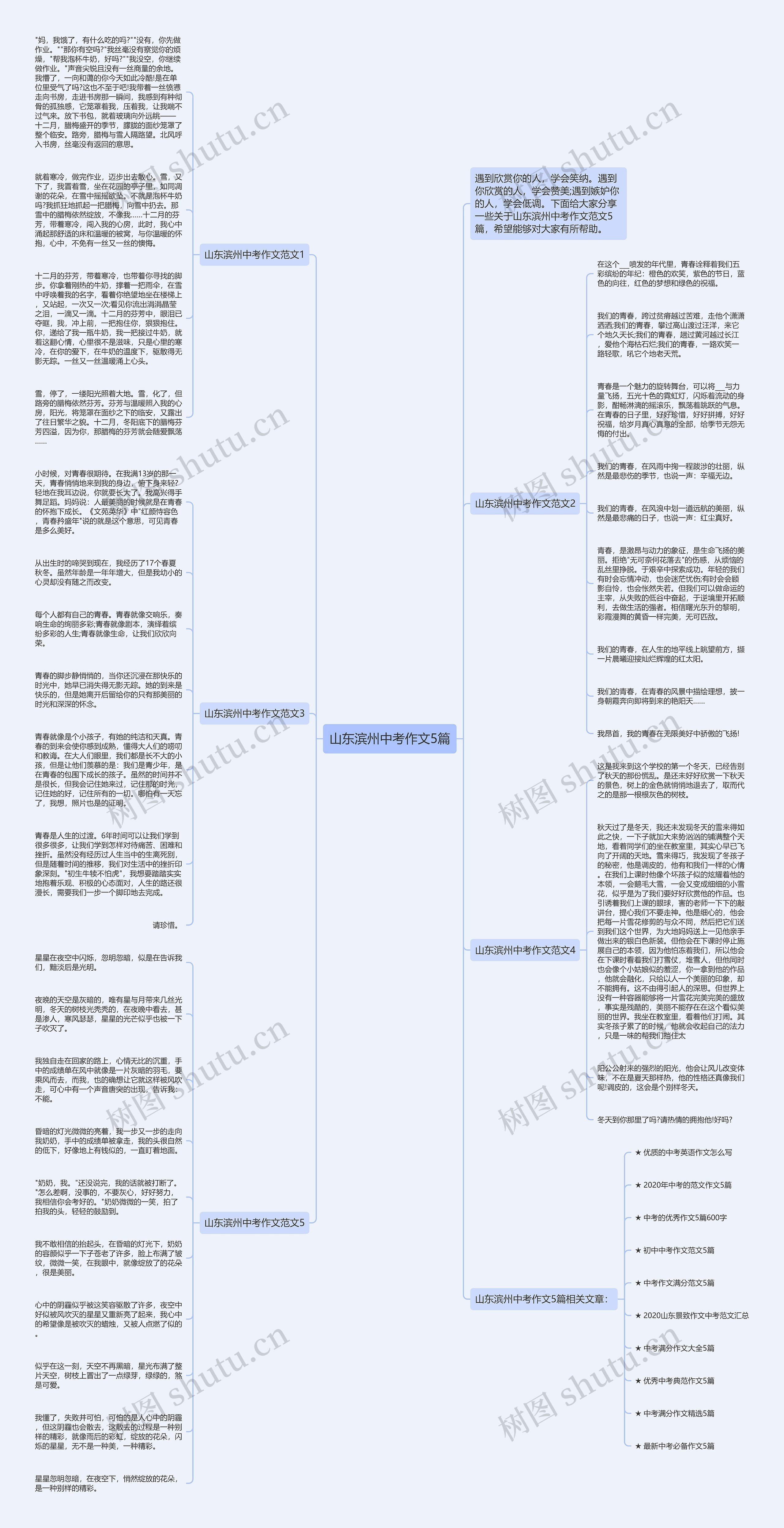 山东滨州中考作文5篇思维导图