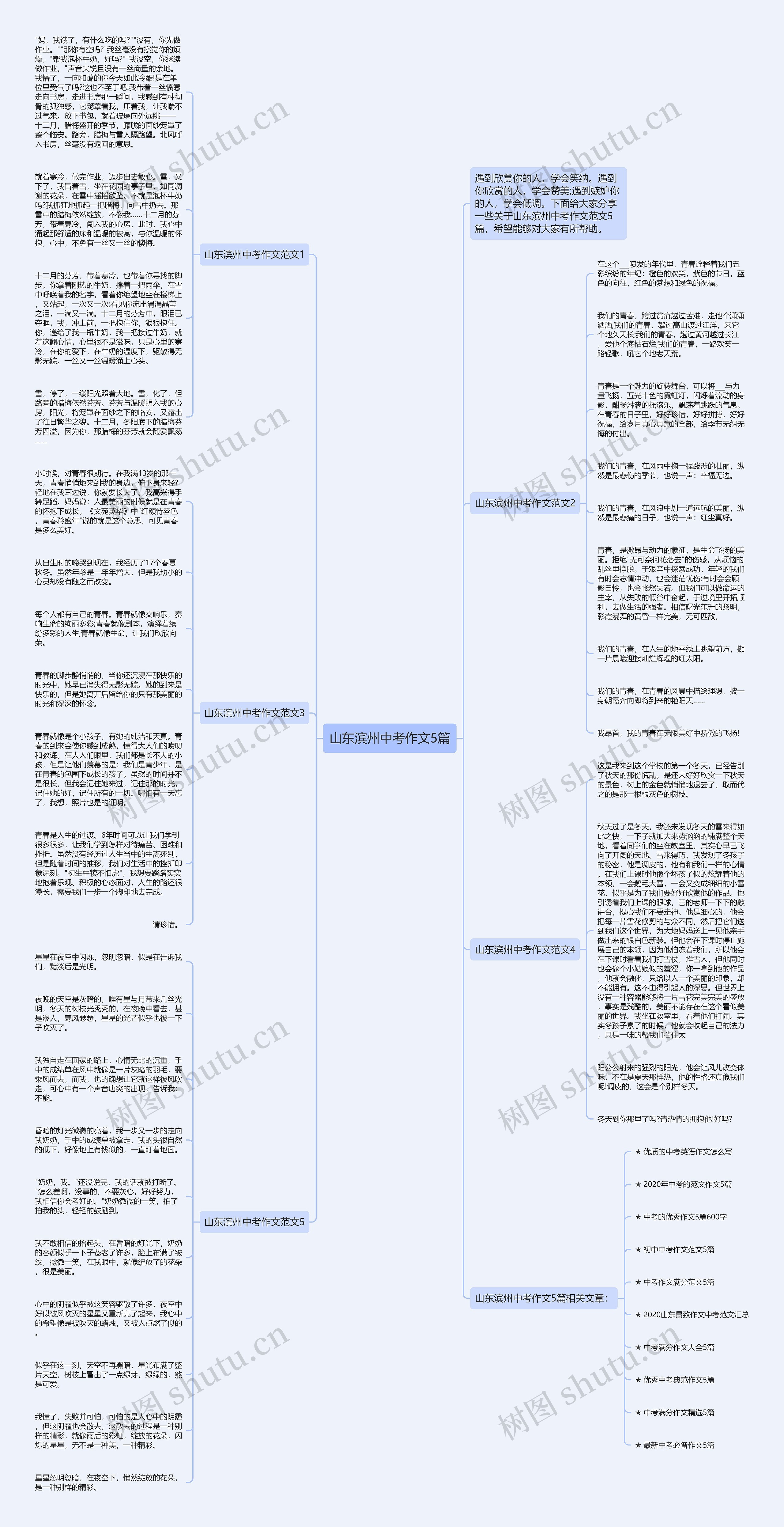 山东滨州中考作文5篇思维导图高清图 山东滨州中考作文5篇思维导图