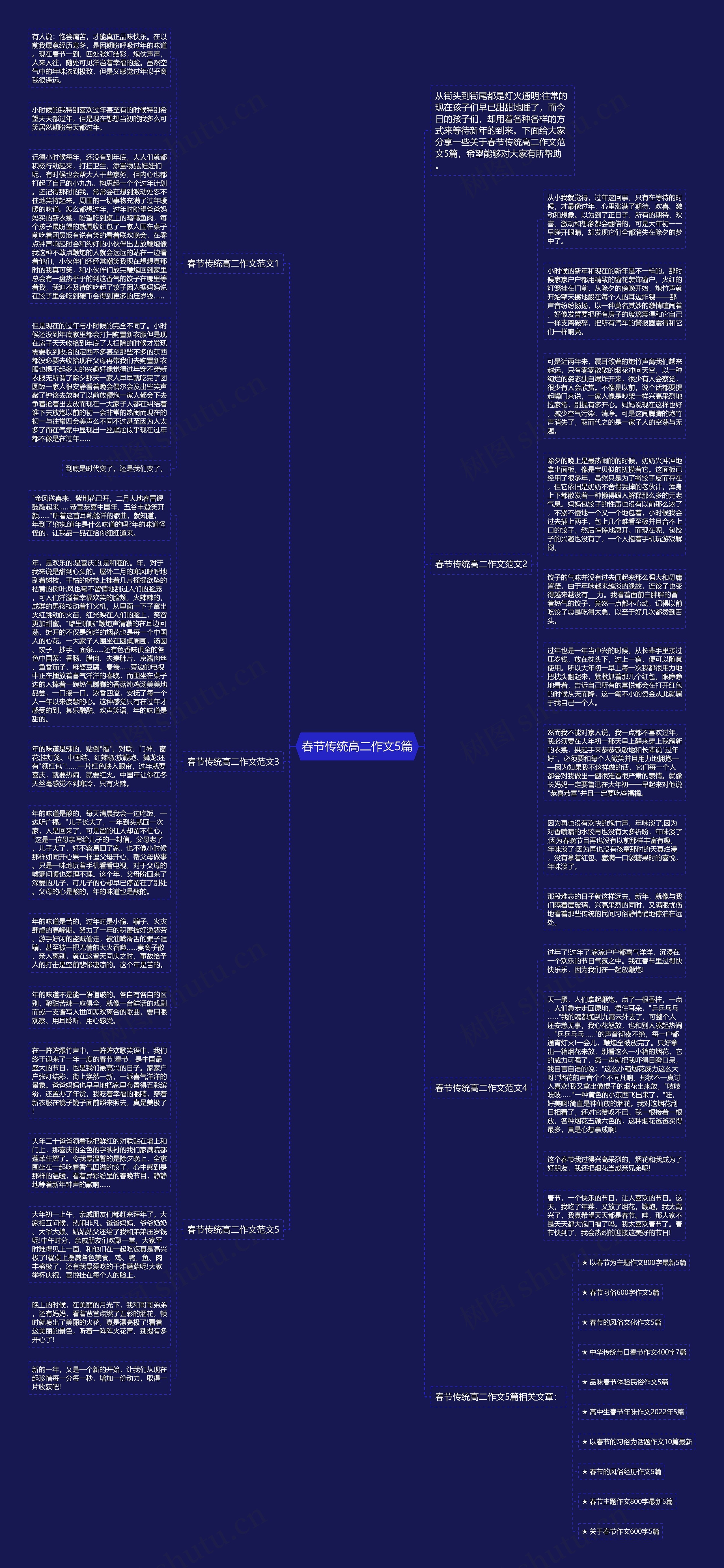 春节传统高二作文5篇思维导图