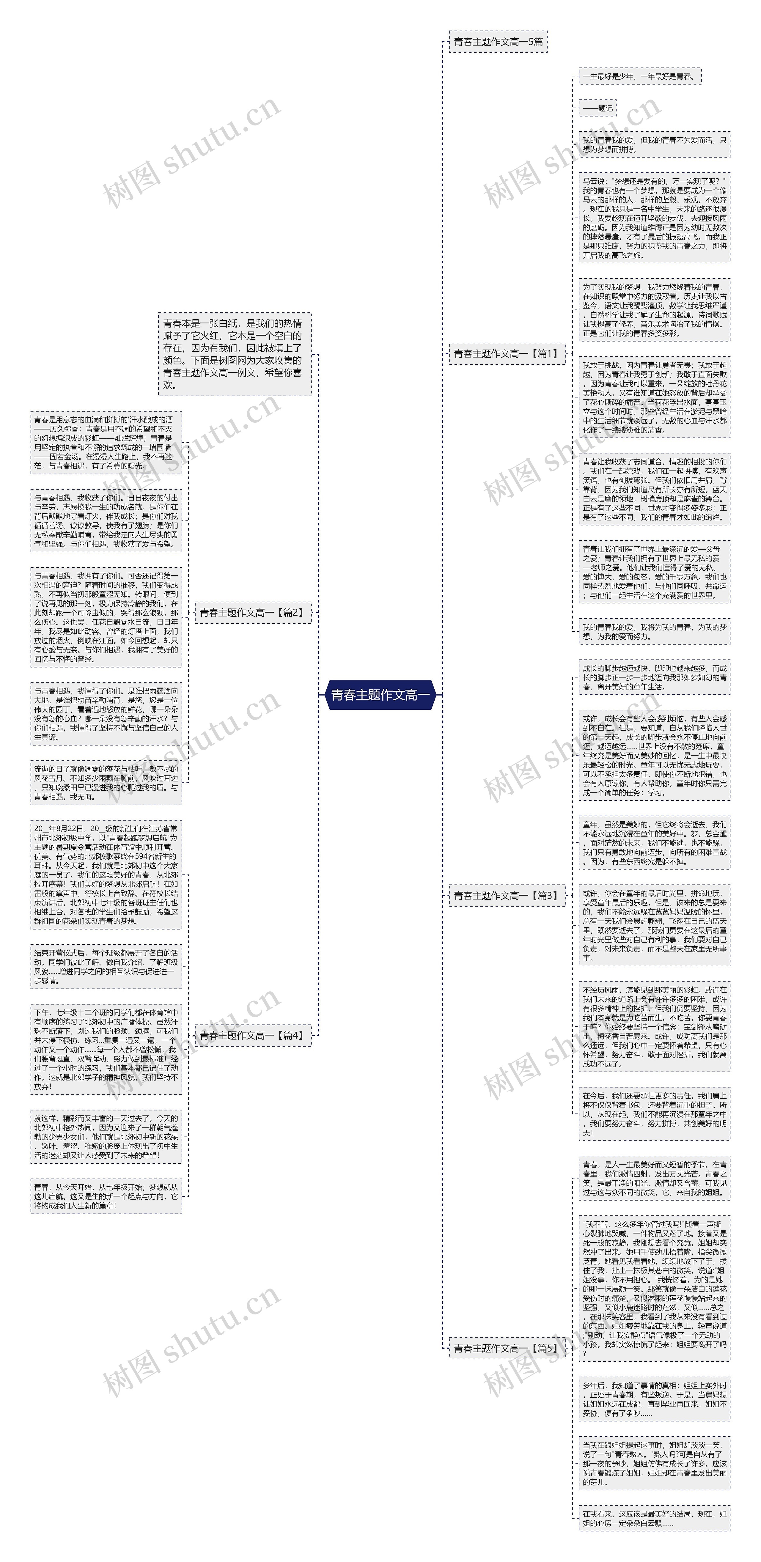 青春主题作文高一思维导图