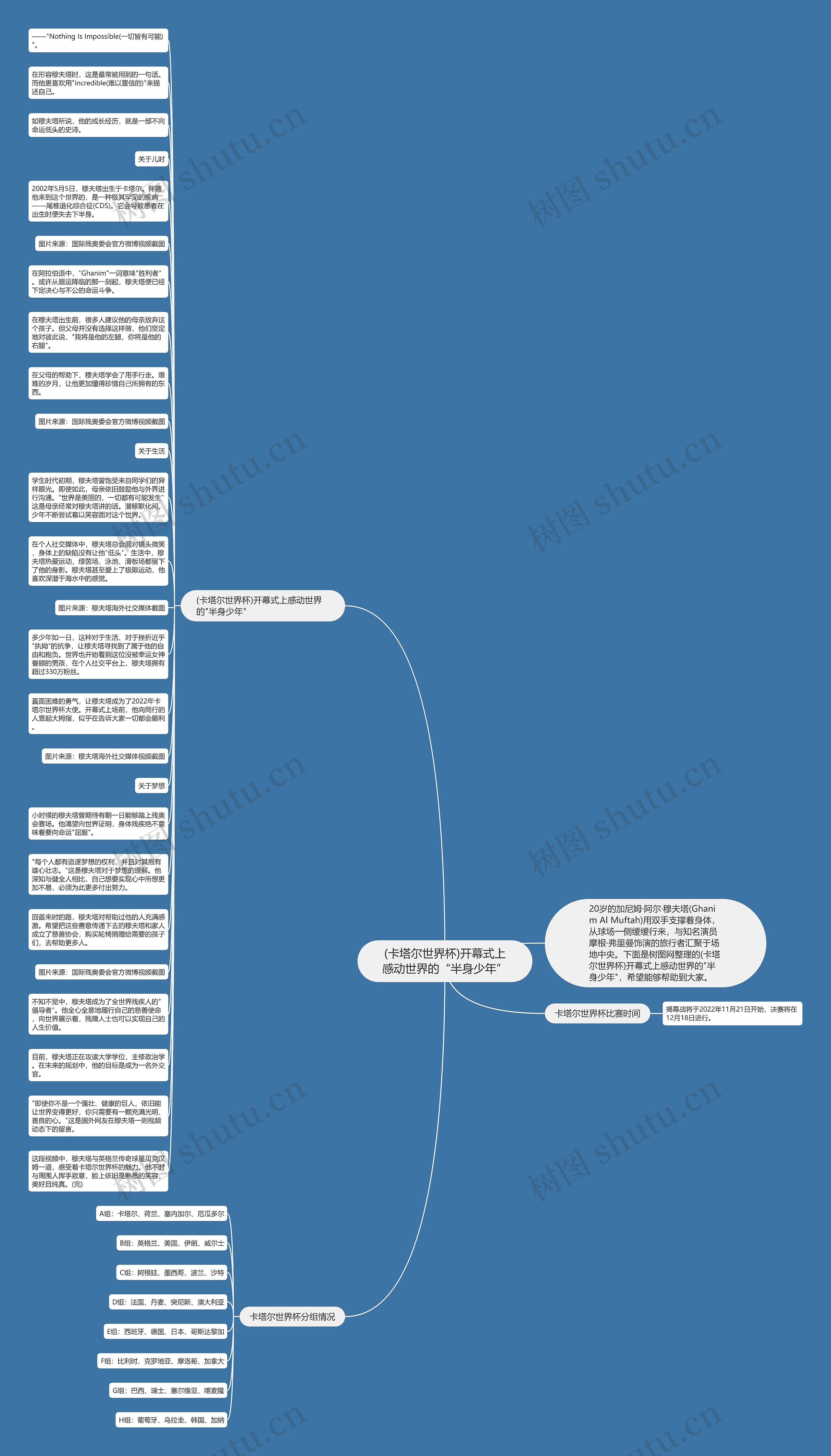 (卡塔尔世界杯)开幕式上感动世界的“半身少年”思维导图