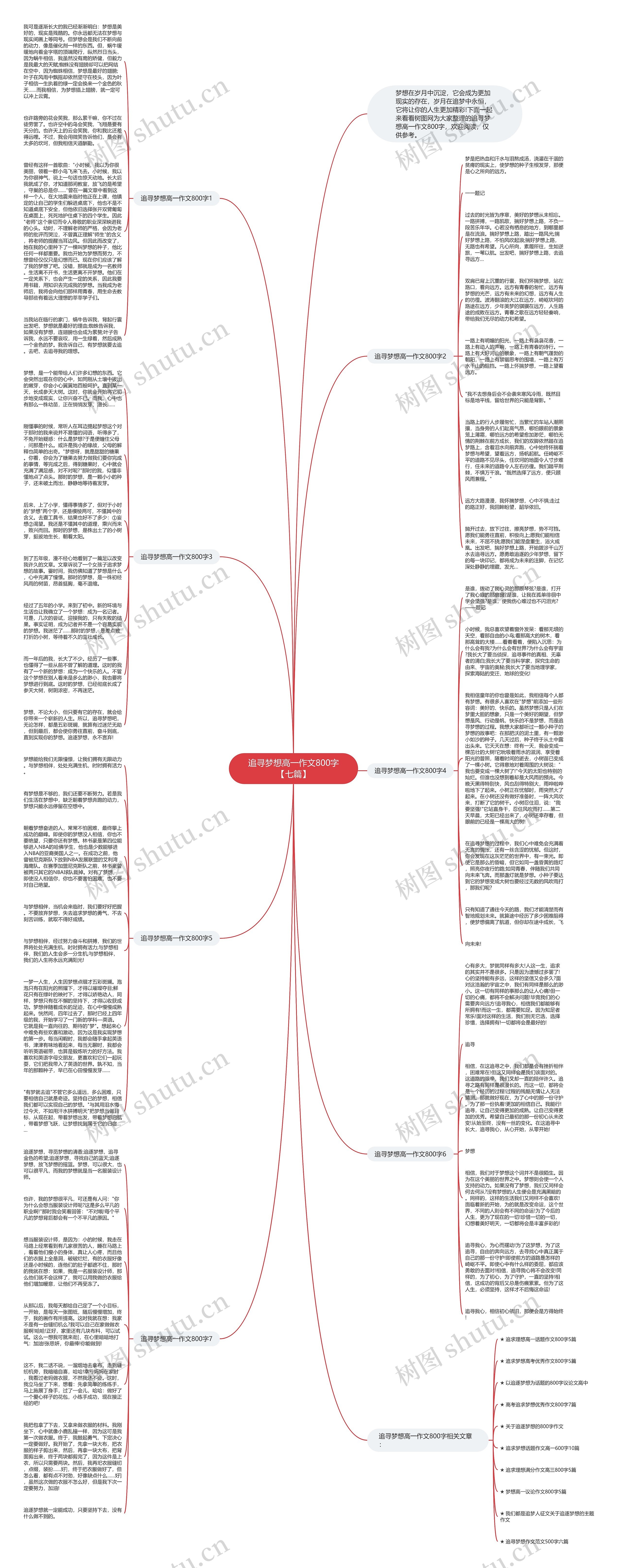 追寻梦想高一作文800字【七篇】思维导图