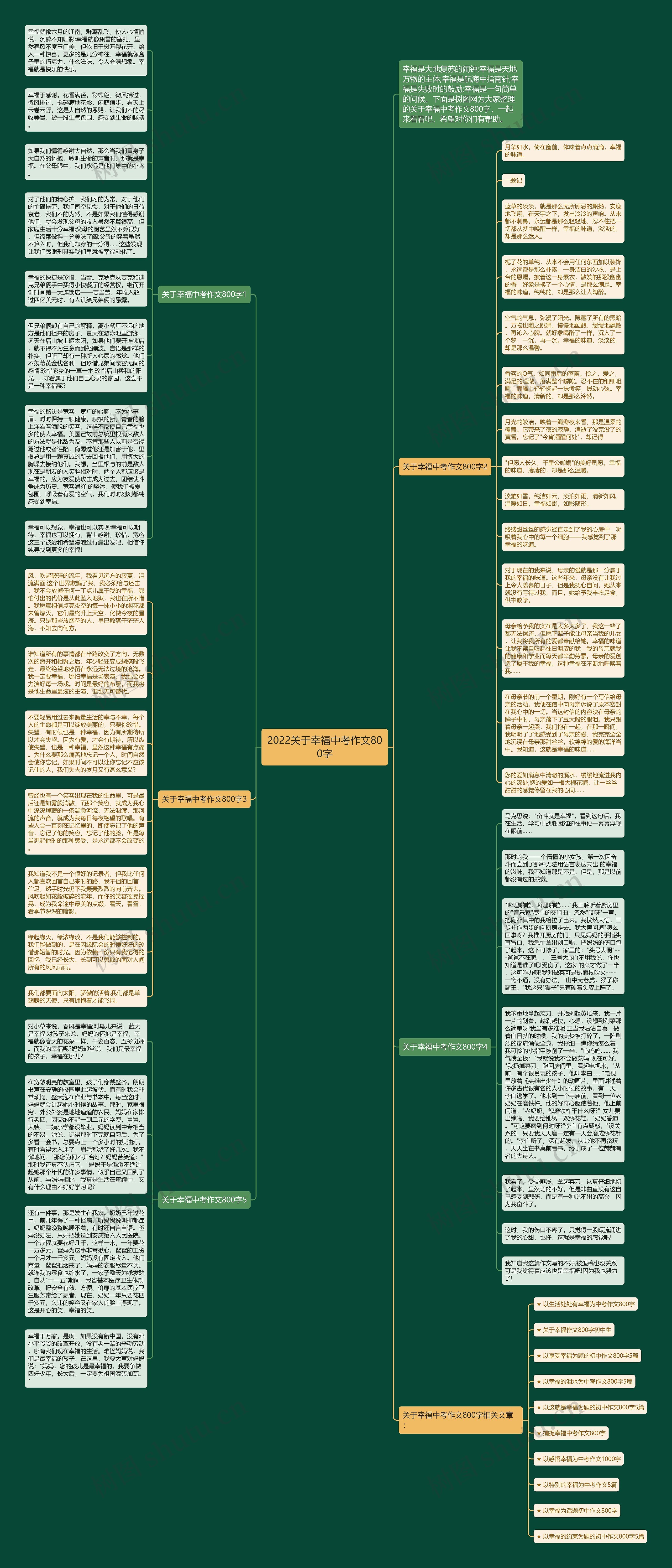 2022关于幸福中考作文800字思维导图
