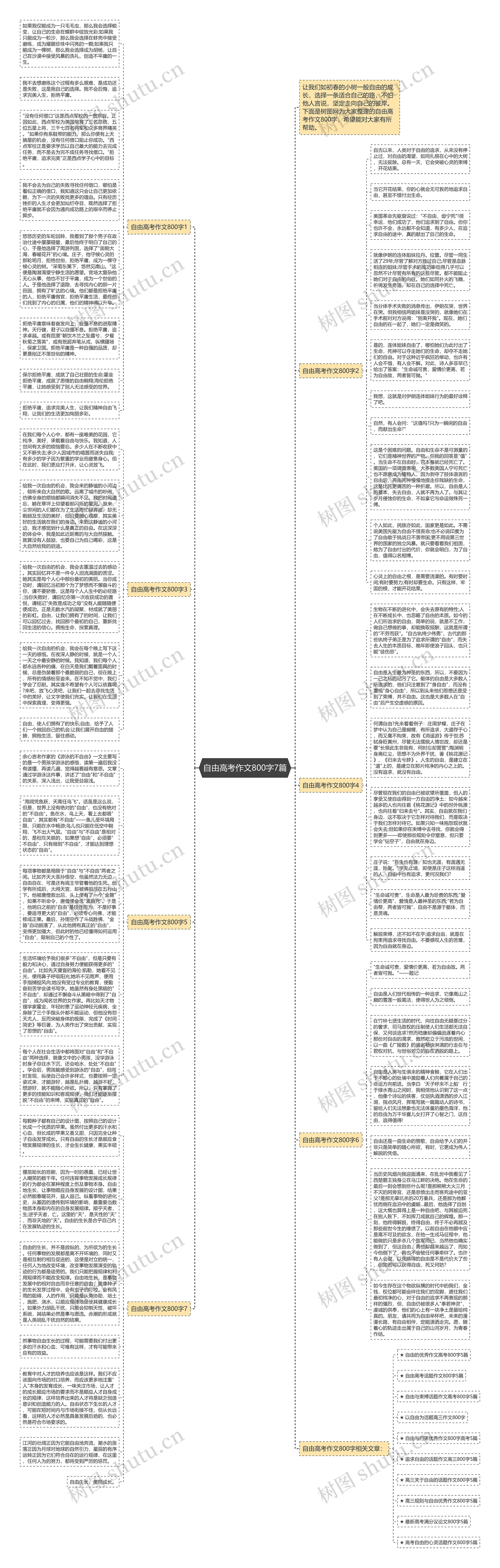 自由高考作文800字7篇思维导图