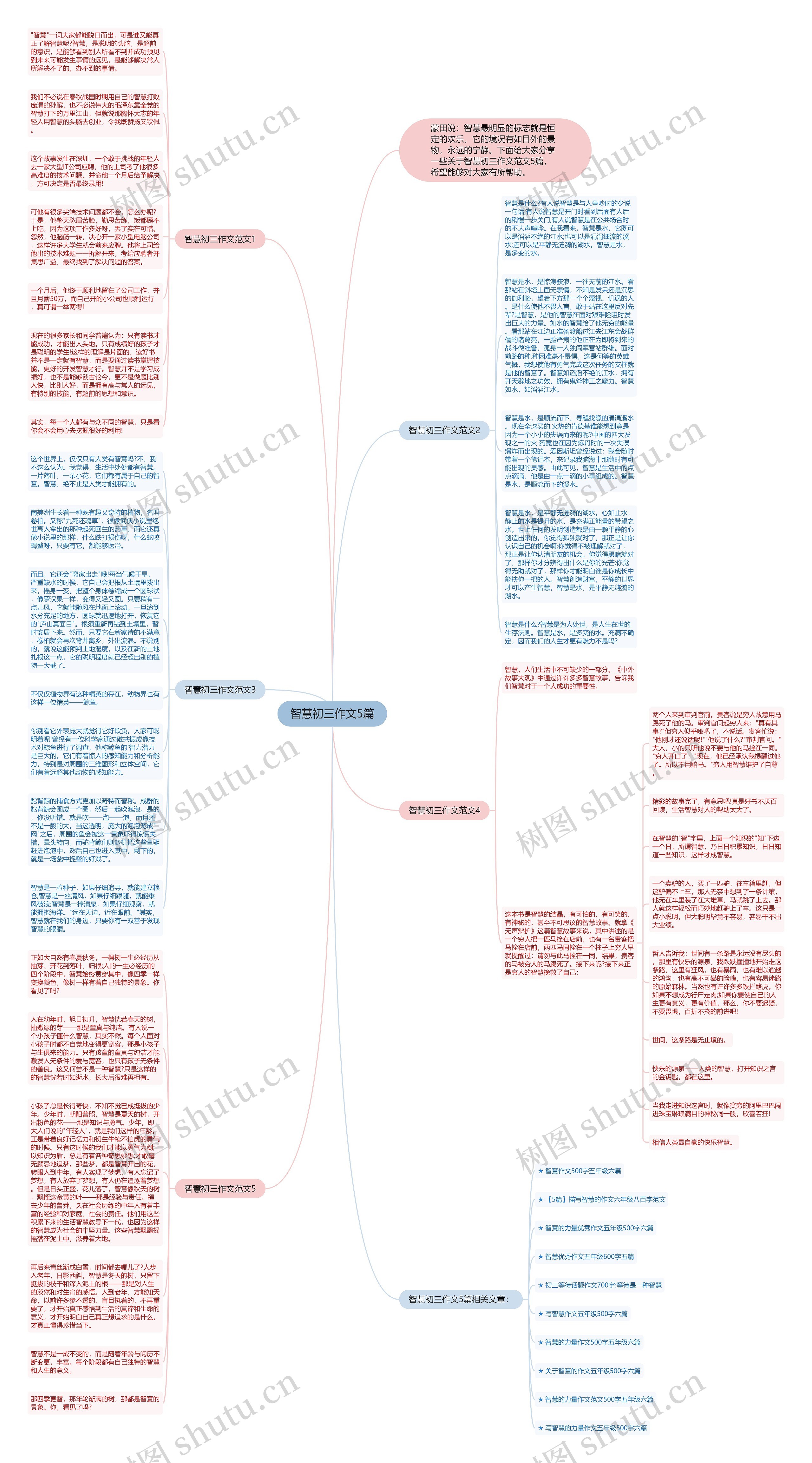 智慧初三作文5篇思维导图
