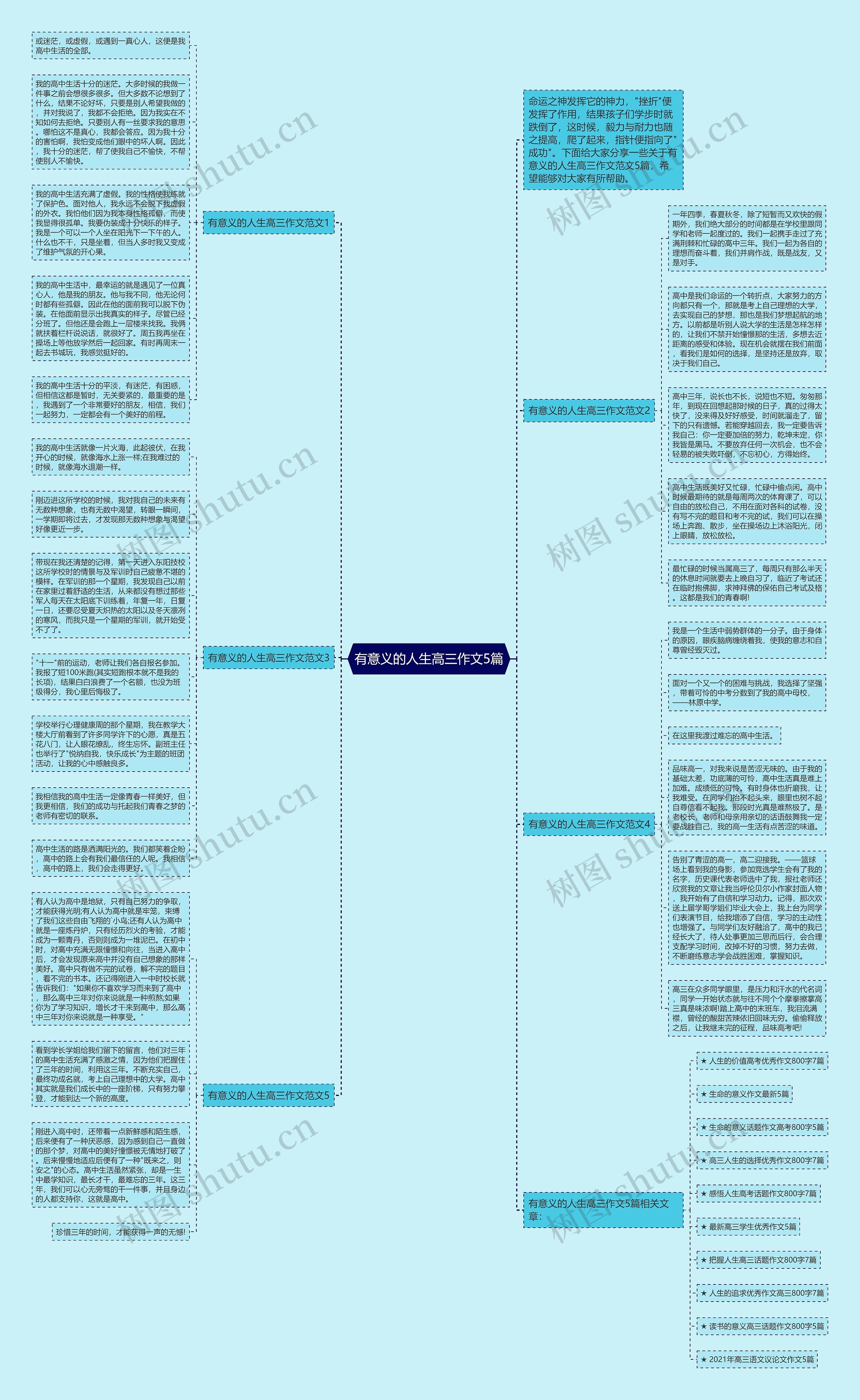 有意义的人生高三作文5篇思维导图