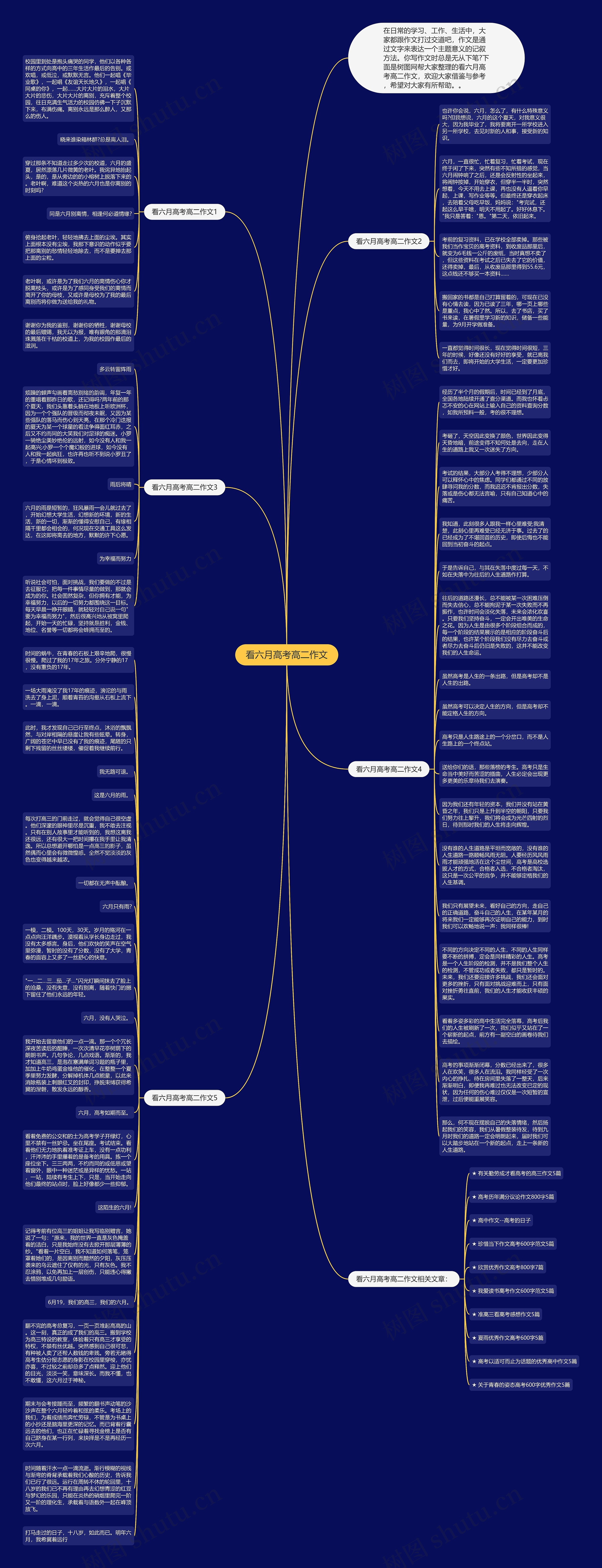 看六月高考高二作文思维导图