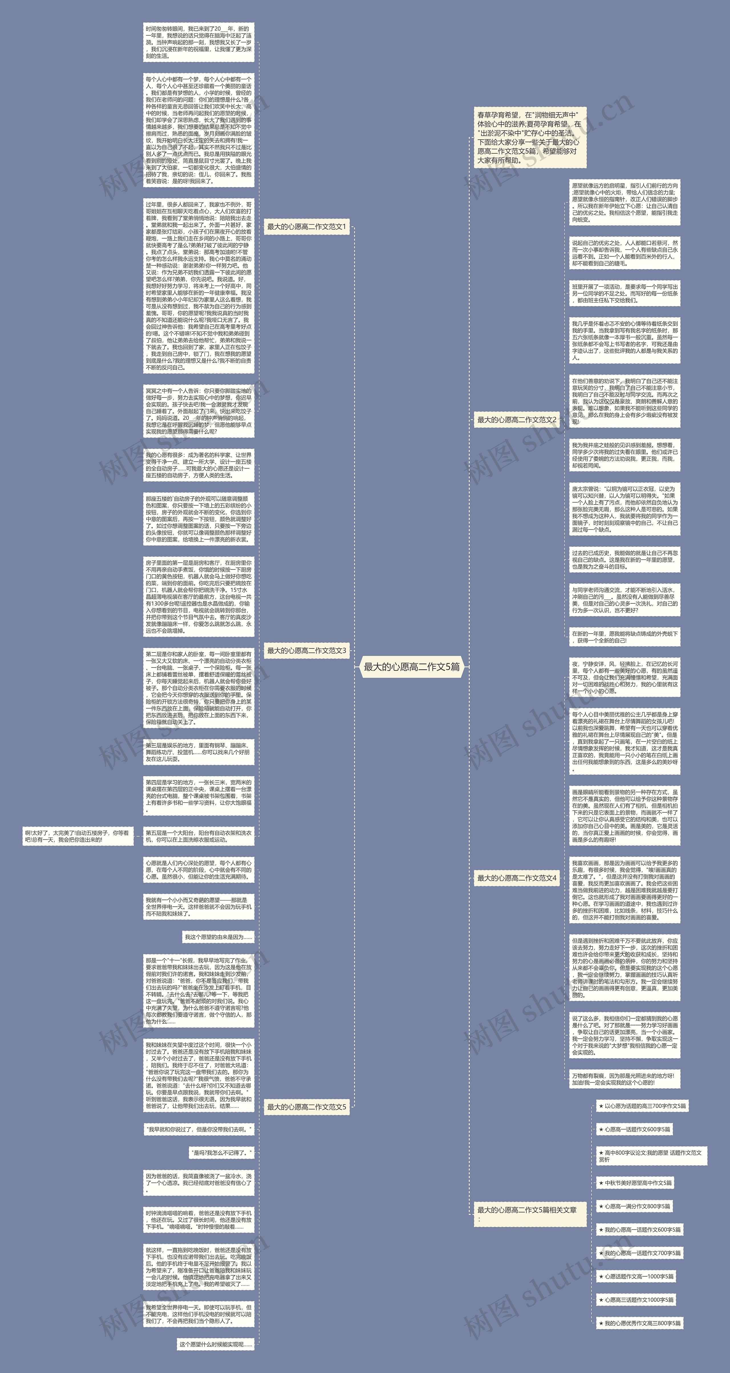 最大的心愿高二作文5篇思维导图