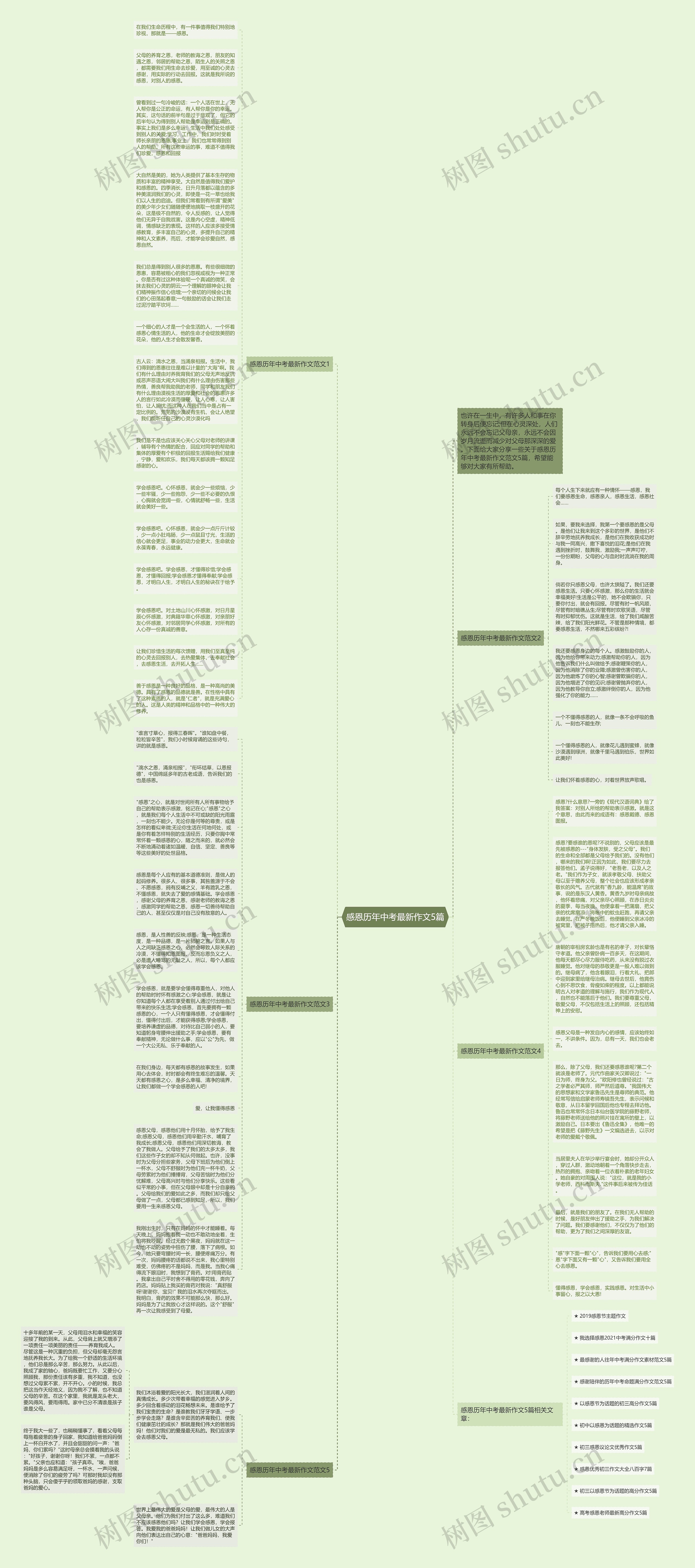 感恩历年中考最新作文5篇思维导图