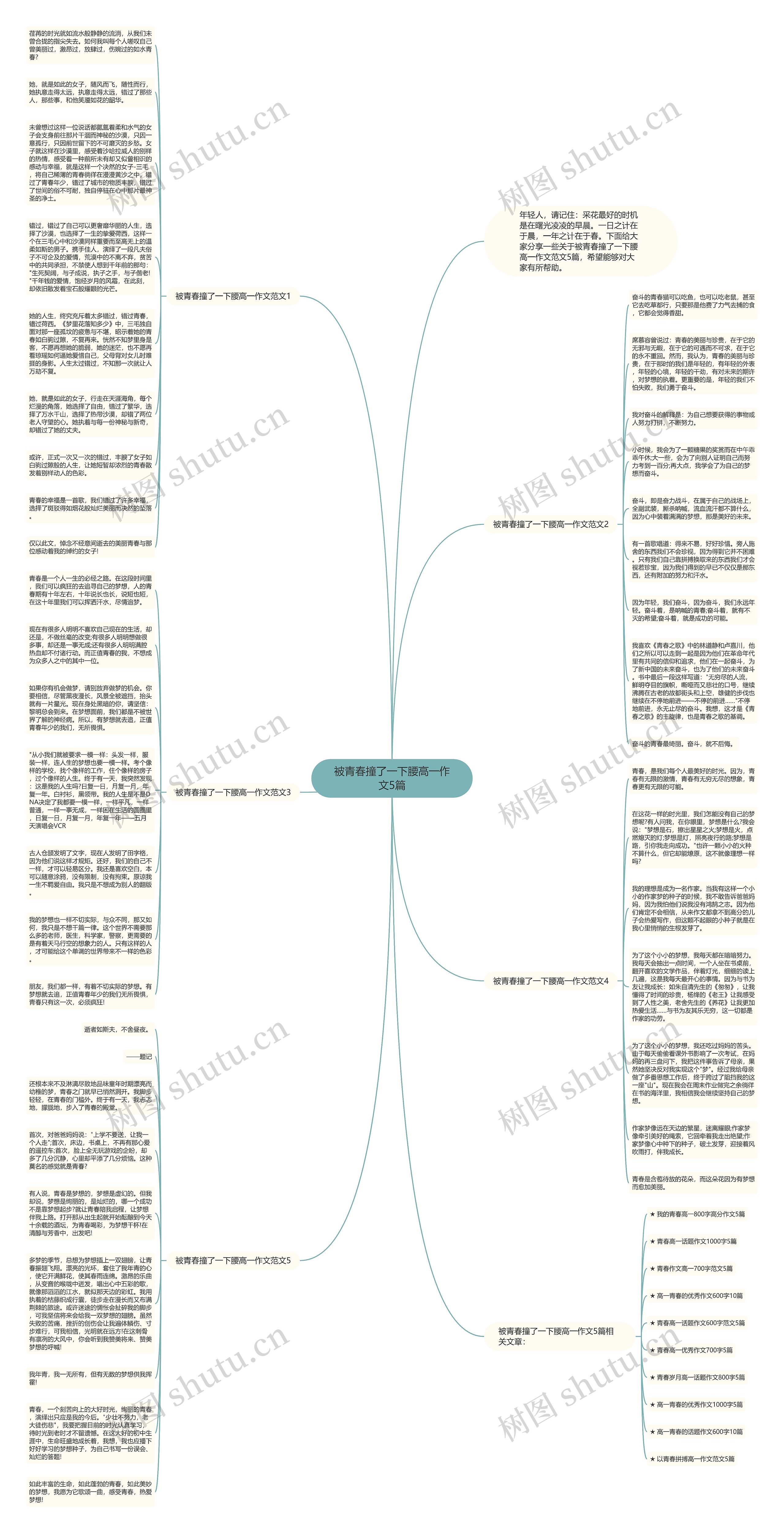 被青春撞了一下腰高一作文5篇思维导图