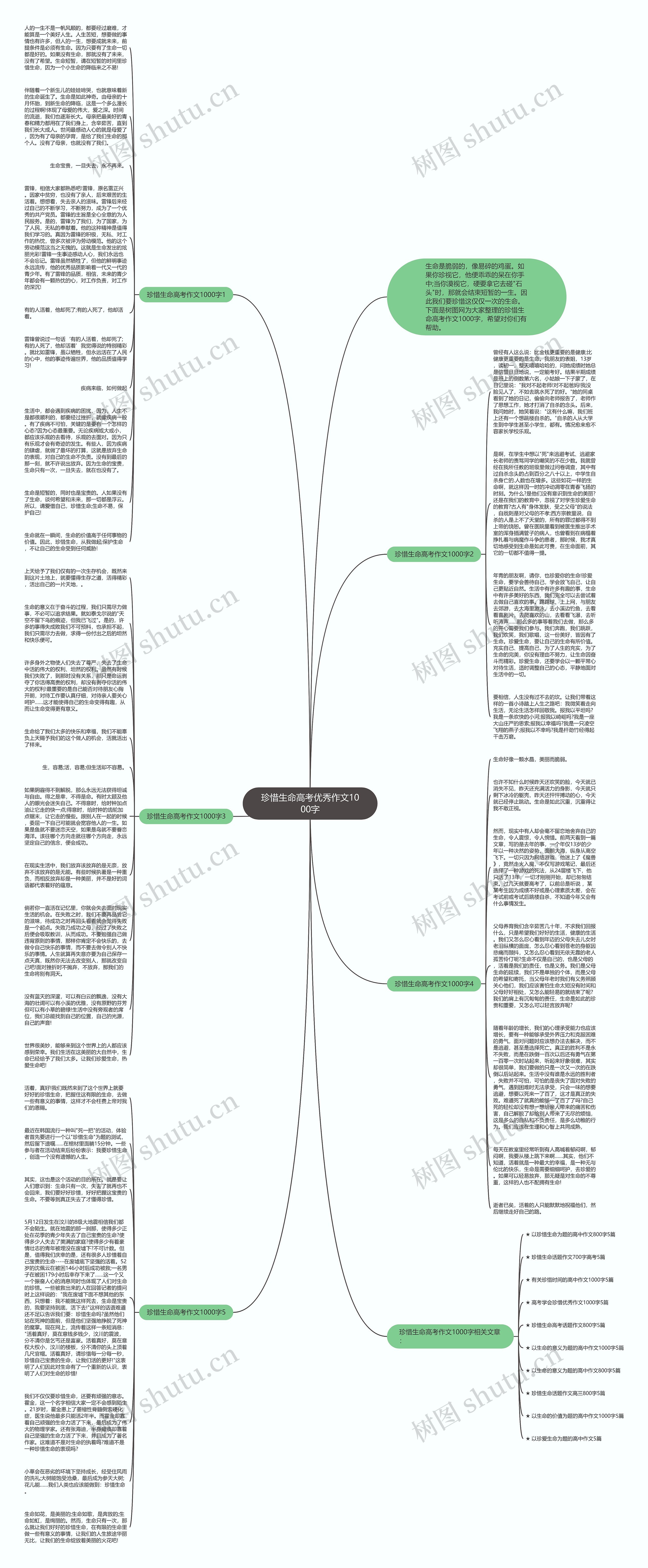 珍惜生命高考优秀作文1000字思维导图