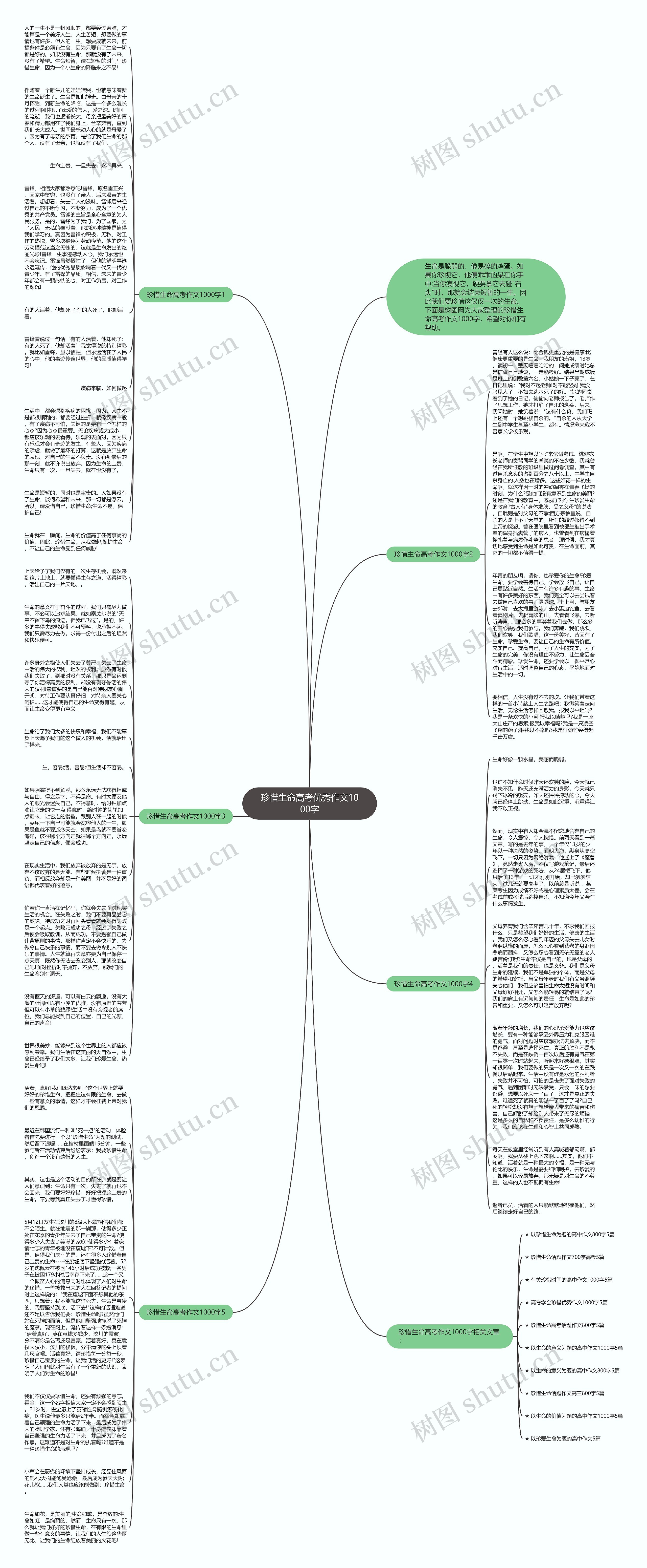 珍惜生命高考优秀作文1000字思维导图高清图 珍惜生命高考优秀作文1000字思维导图