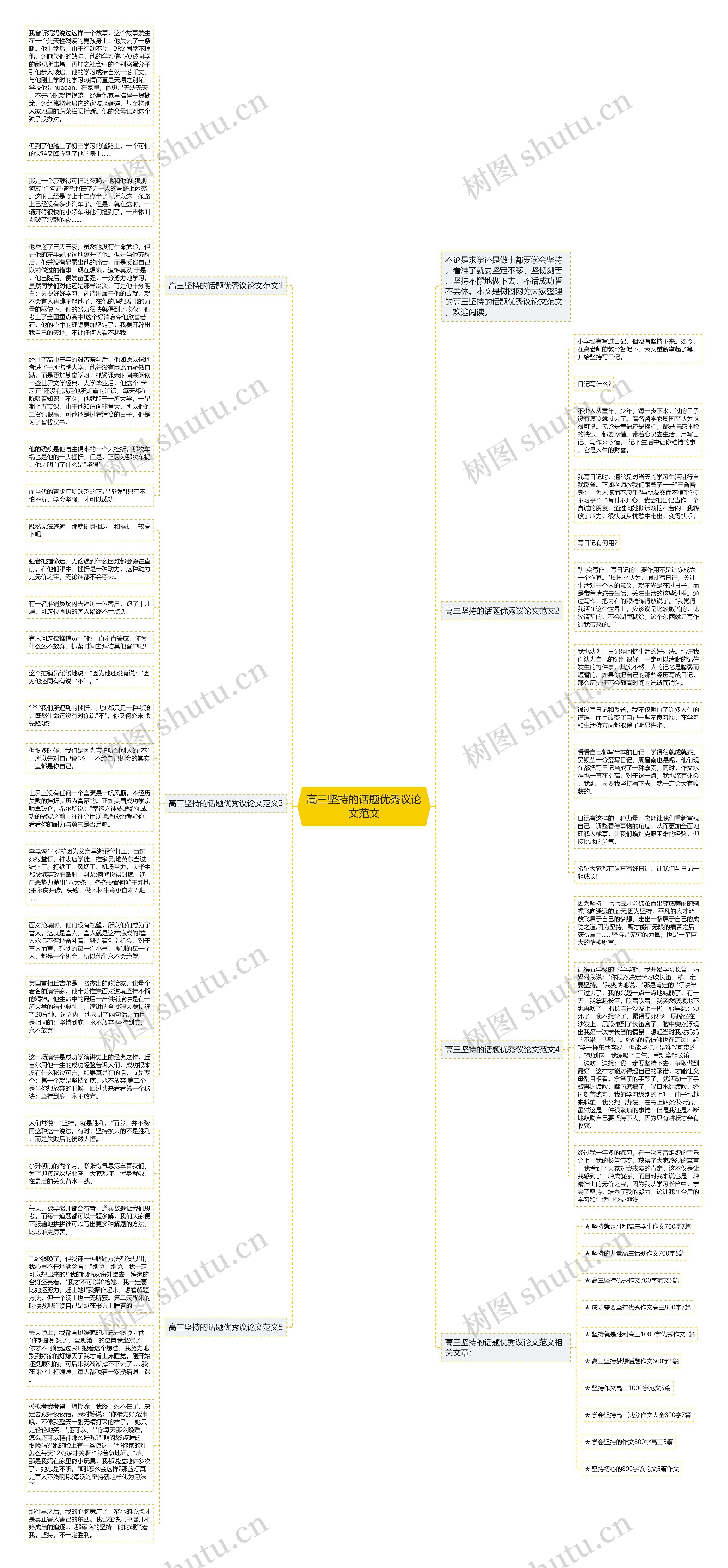 高三坚持的话题优秀议论文范文思维导图