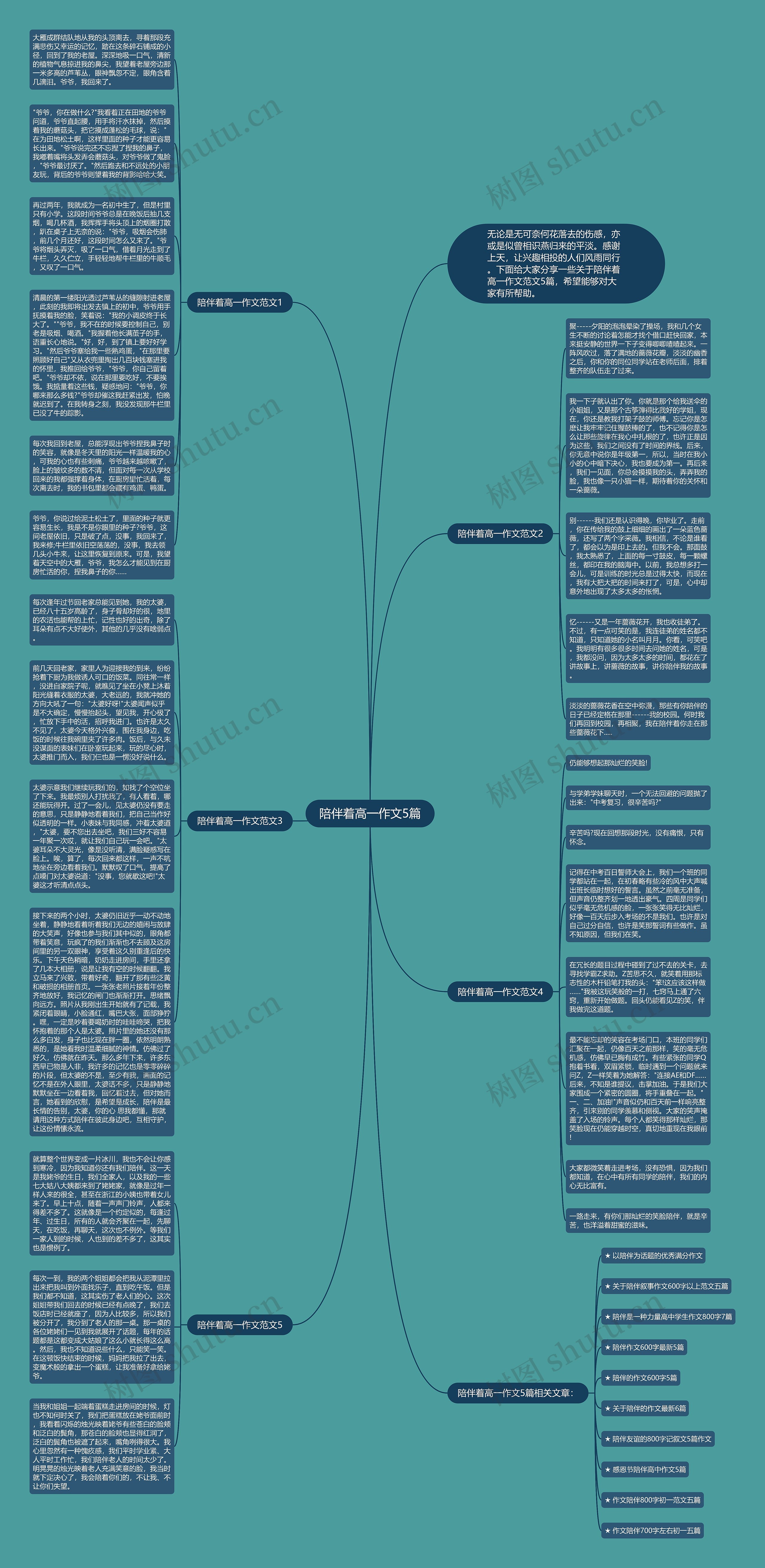 陪伴着高一作文5篇思维导图