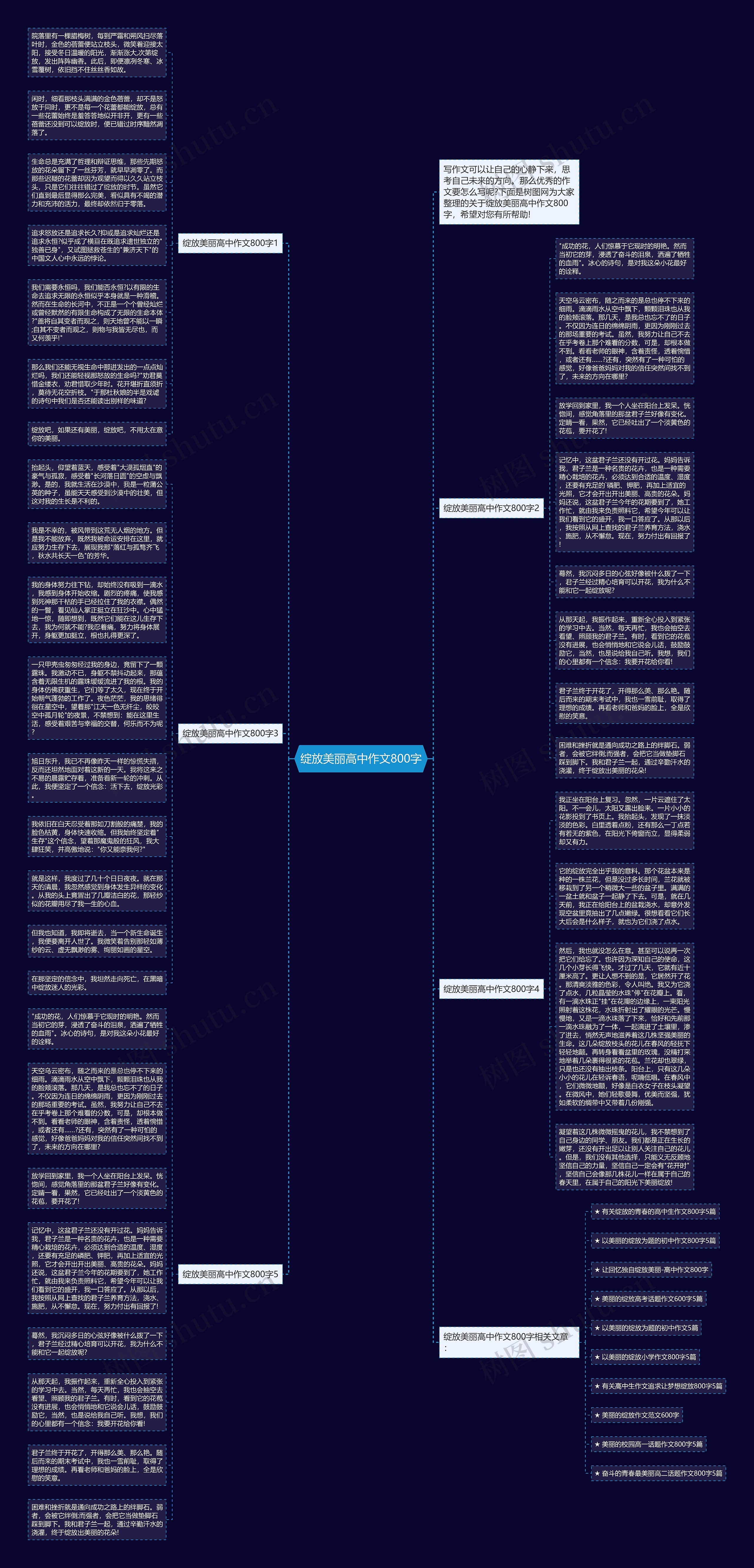 绽放美丽高中作文800字思维导图