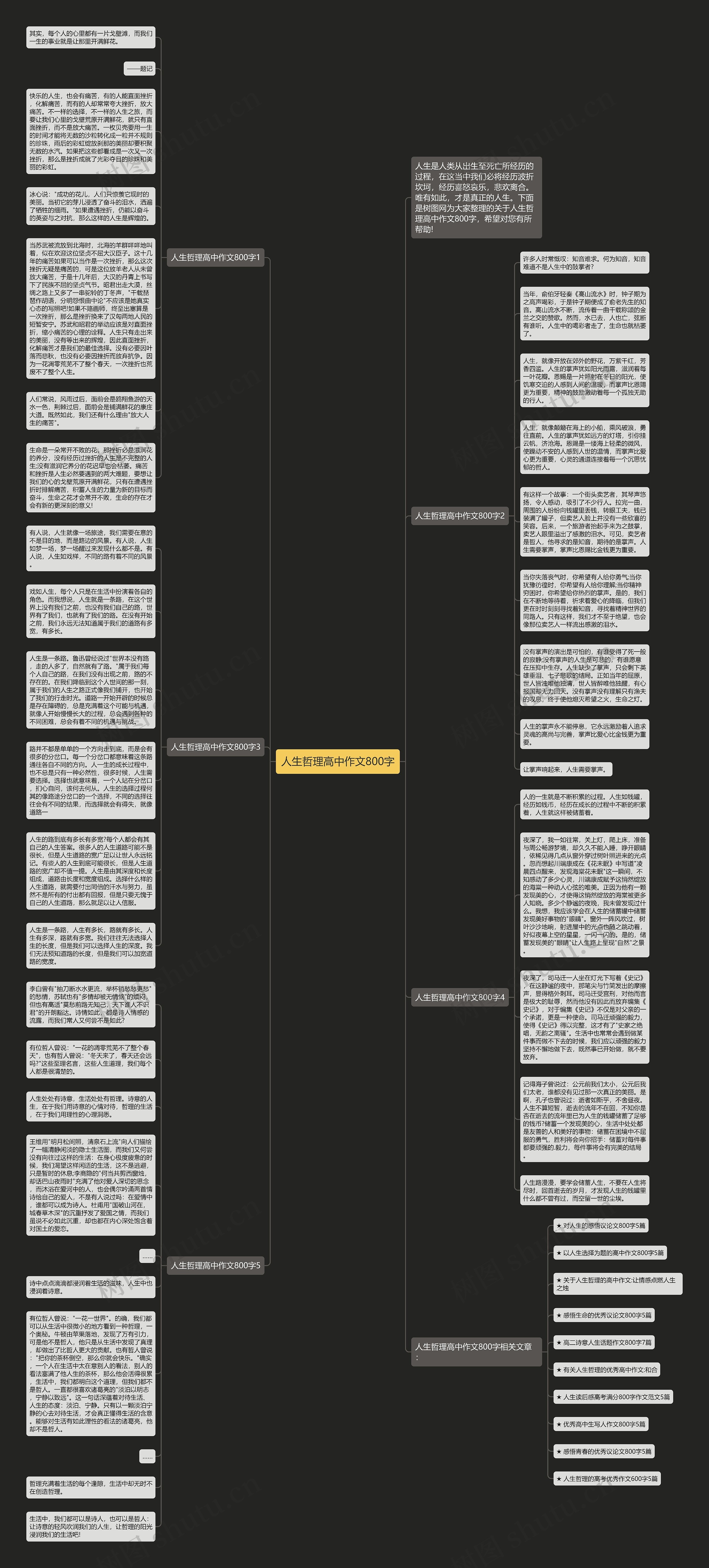 人生哲理高中作文800字思维导图