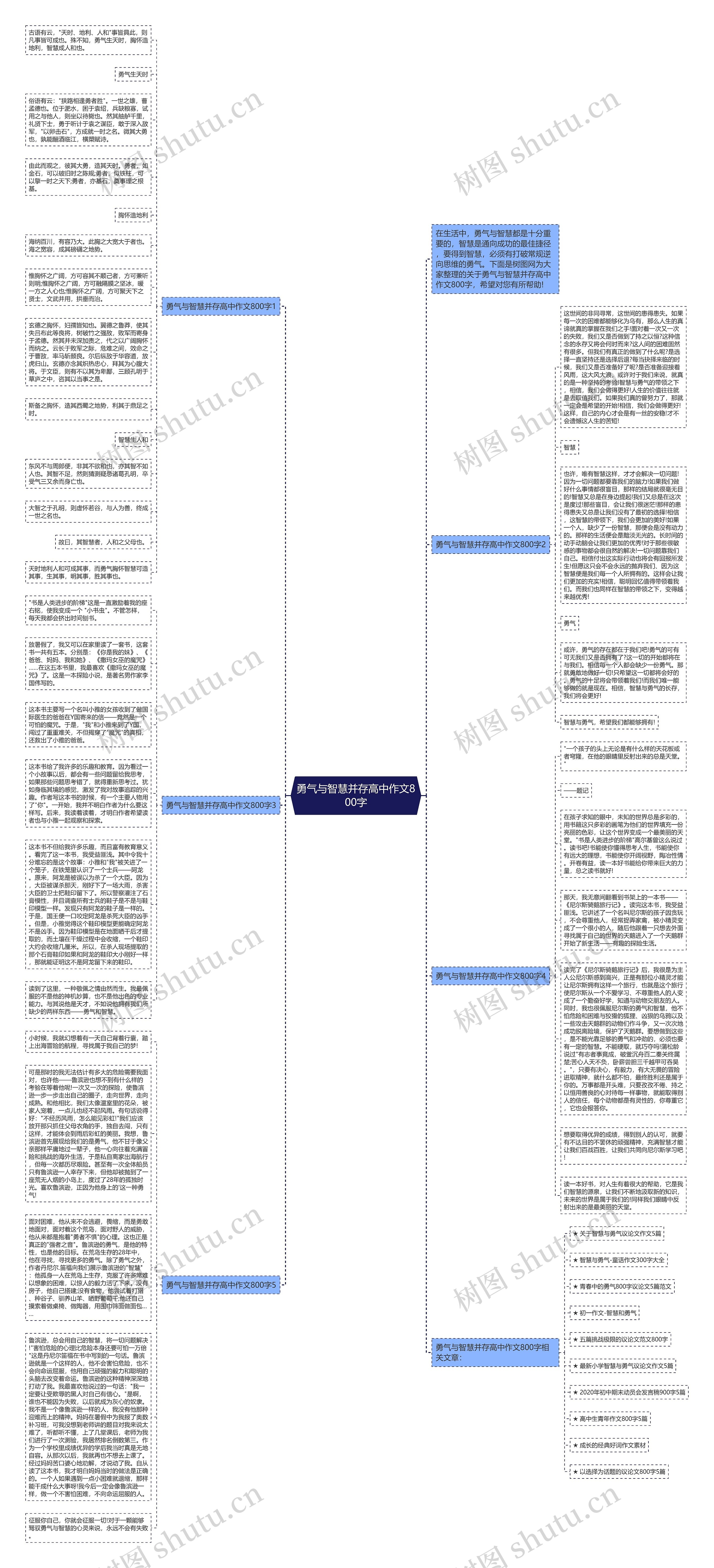 勇气与智慧并存高中作文800字思维导图