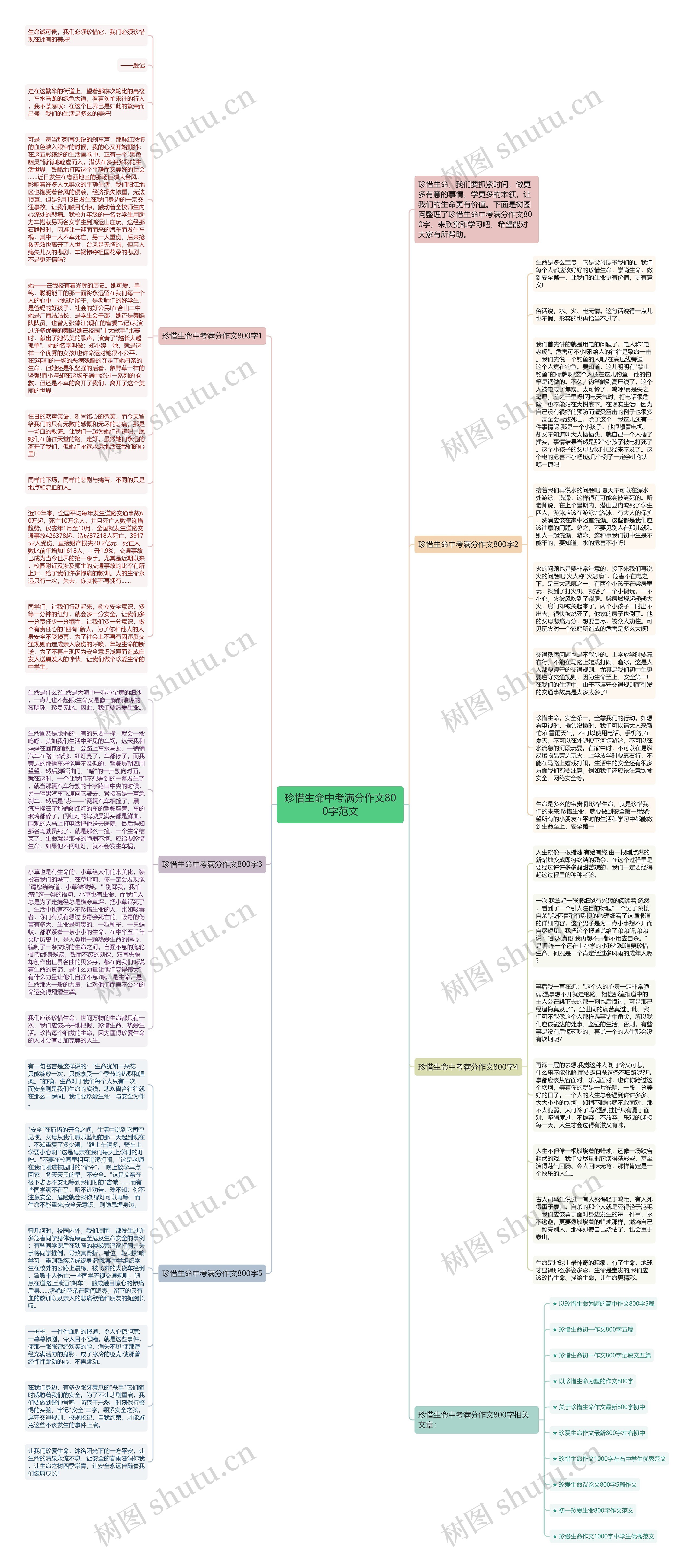 珍惜生命中考满分作文800字范文思维导图