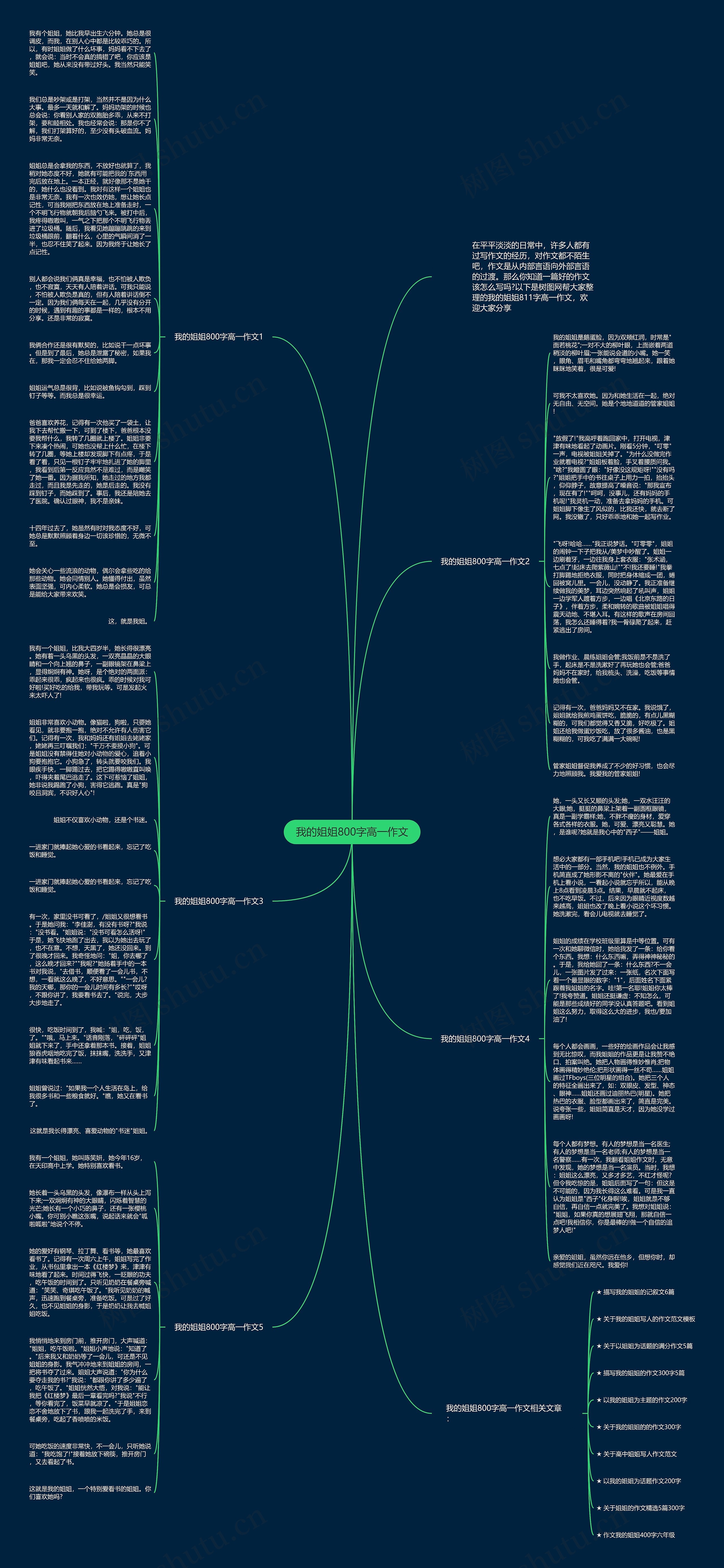 我的姐姐800字高一作文思维导图
