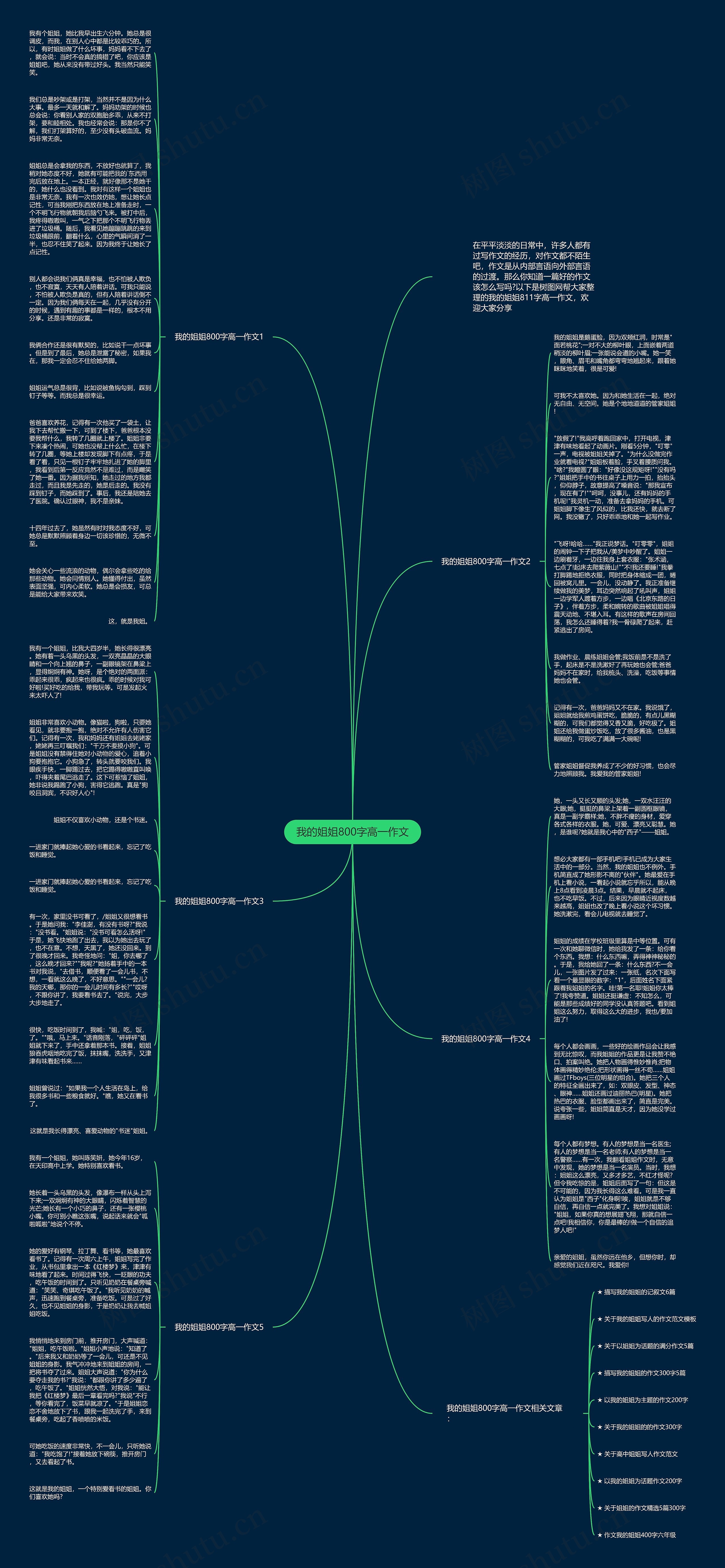 我的姐姐800字高一作文思维导图高清图 我的姐姐800字高一作文思维导图