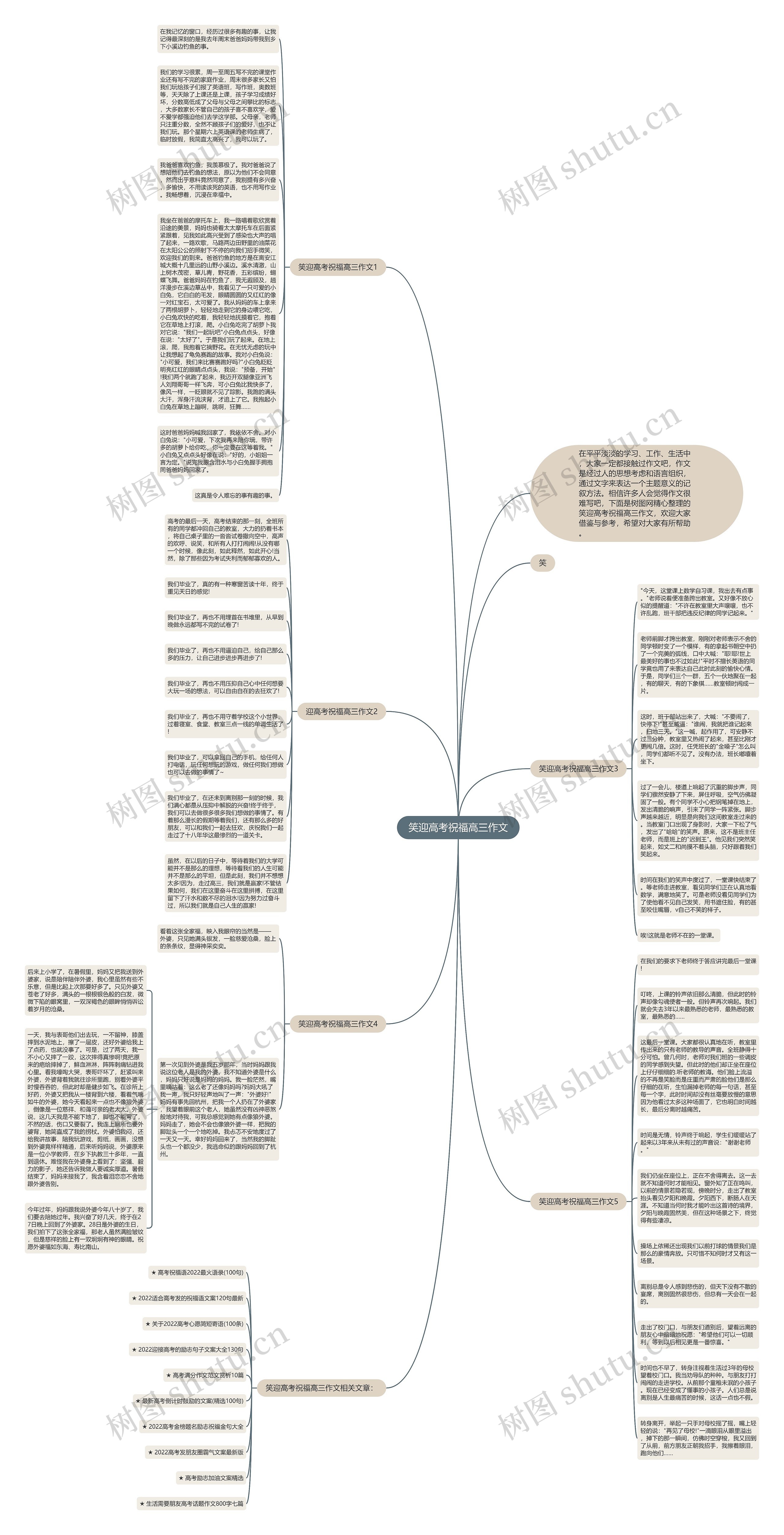 笑迎高考祝福高三作文思维导图