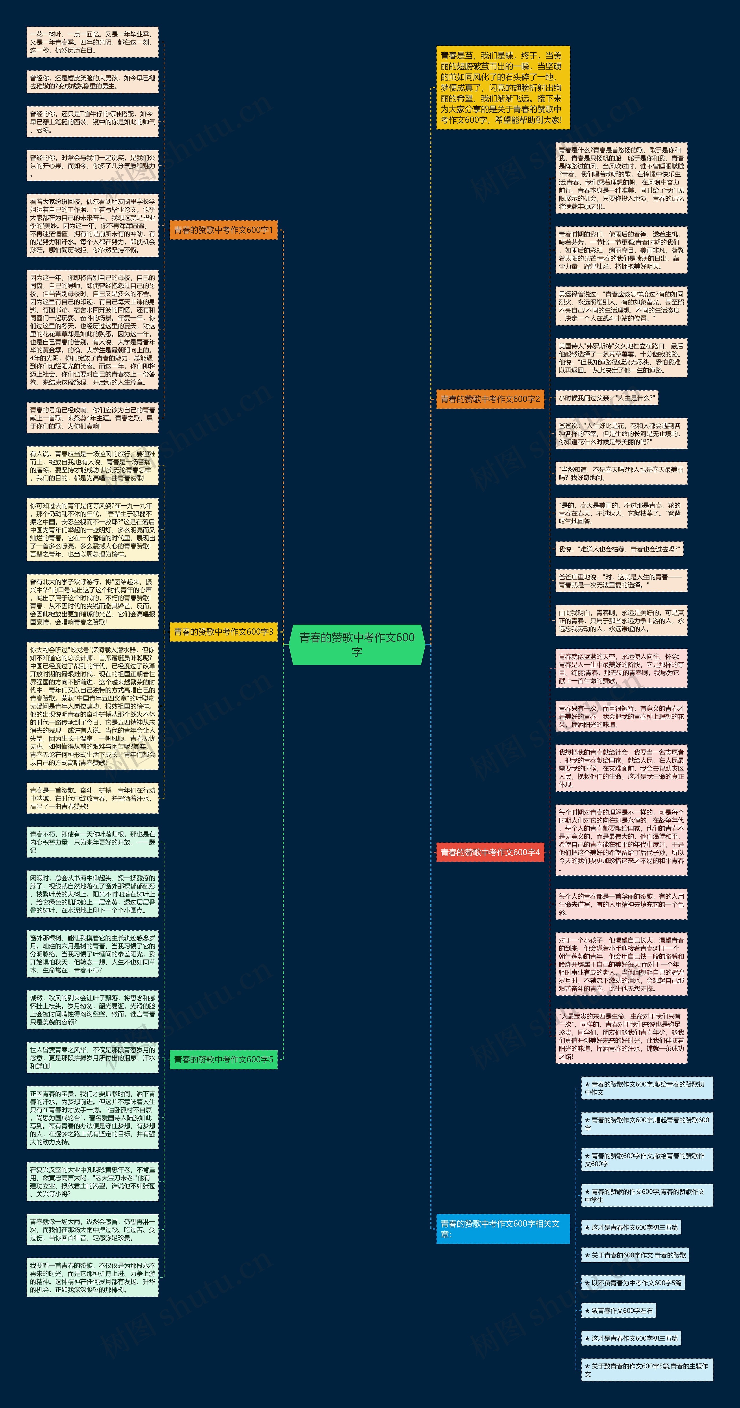 青春的赞歌中考作文600字思维导图