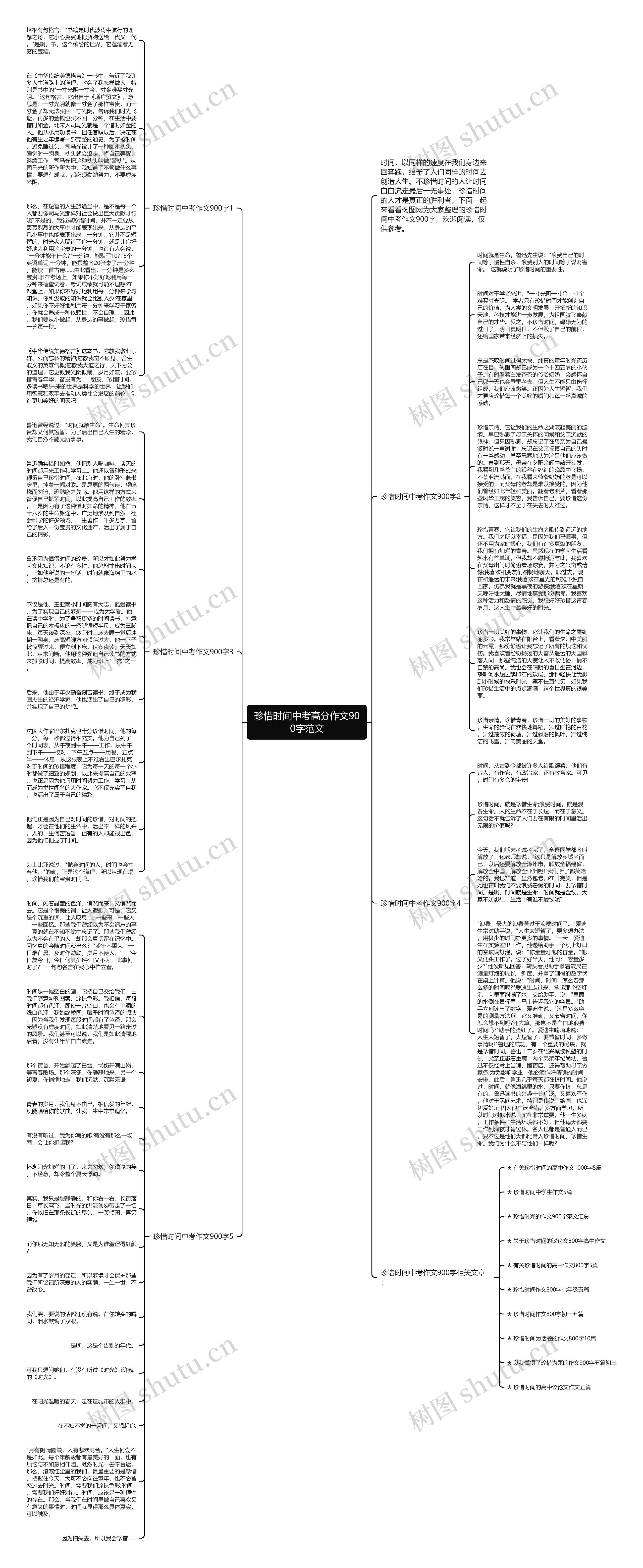 珍惜时间中考高分作文900字范文思维导图