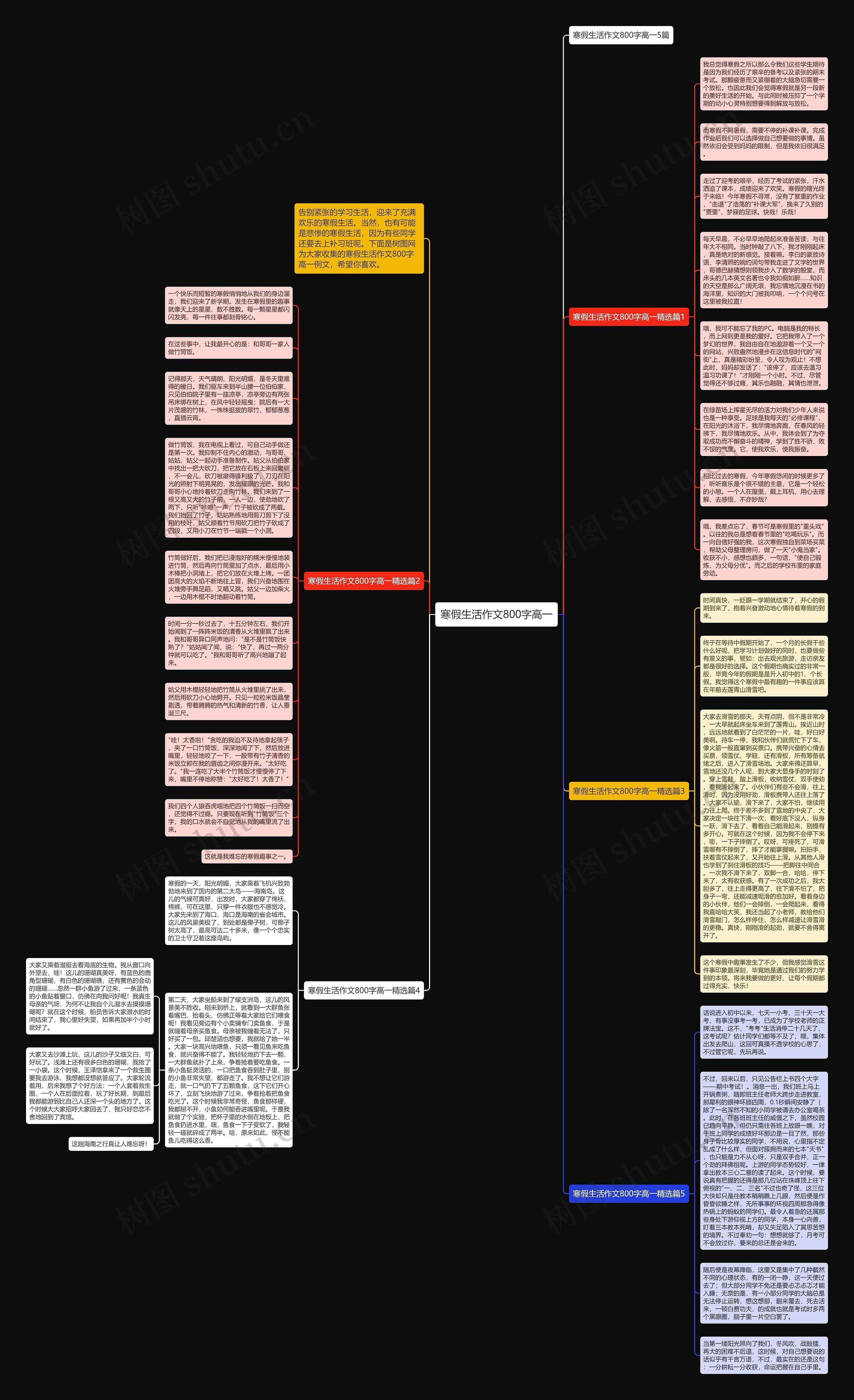 寒假生活作文800字高一思维导图