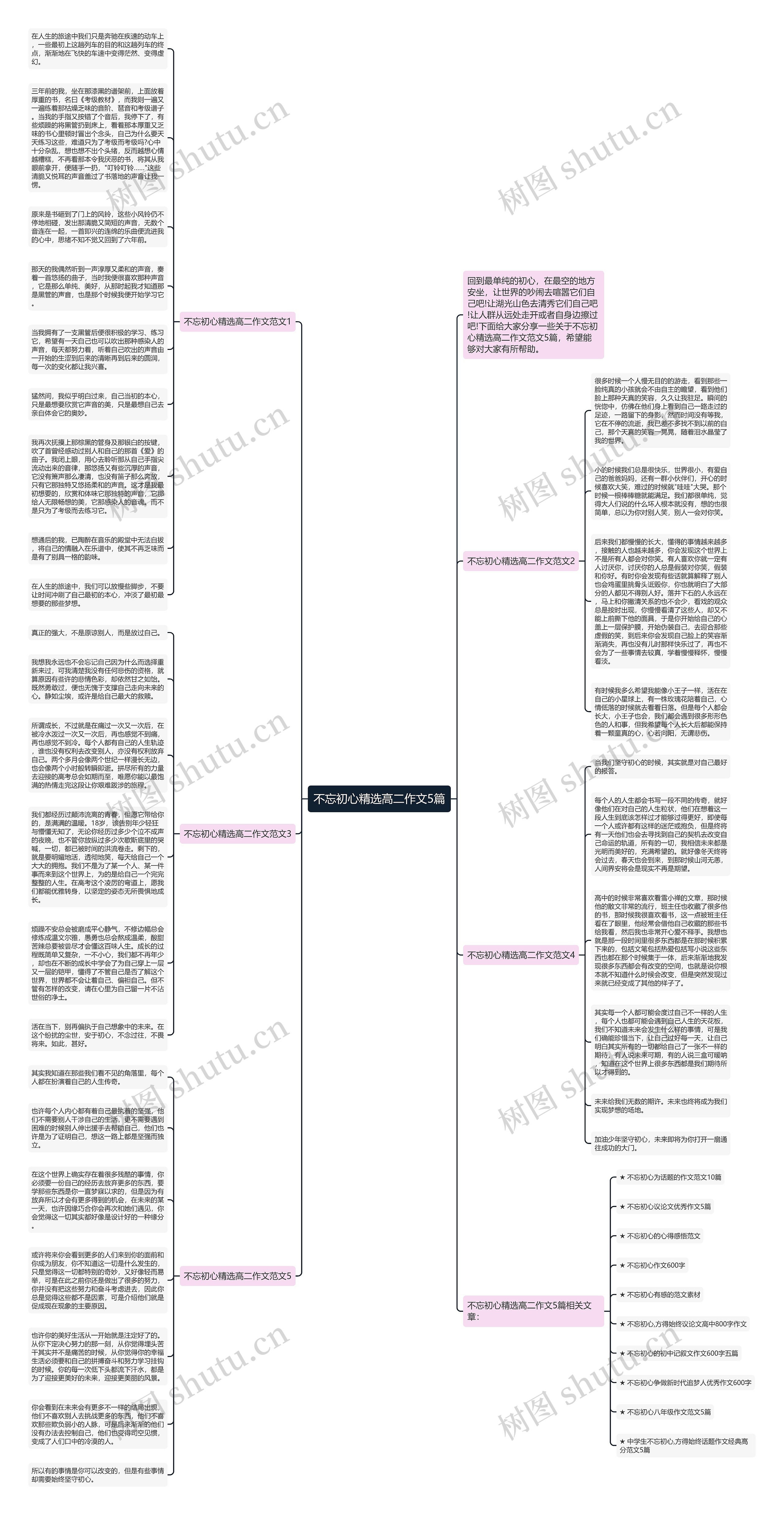不忘初心精选高二作文5篇思维导图