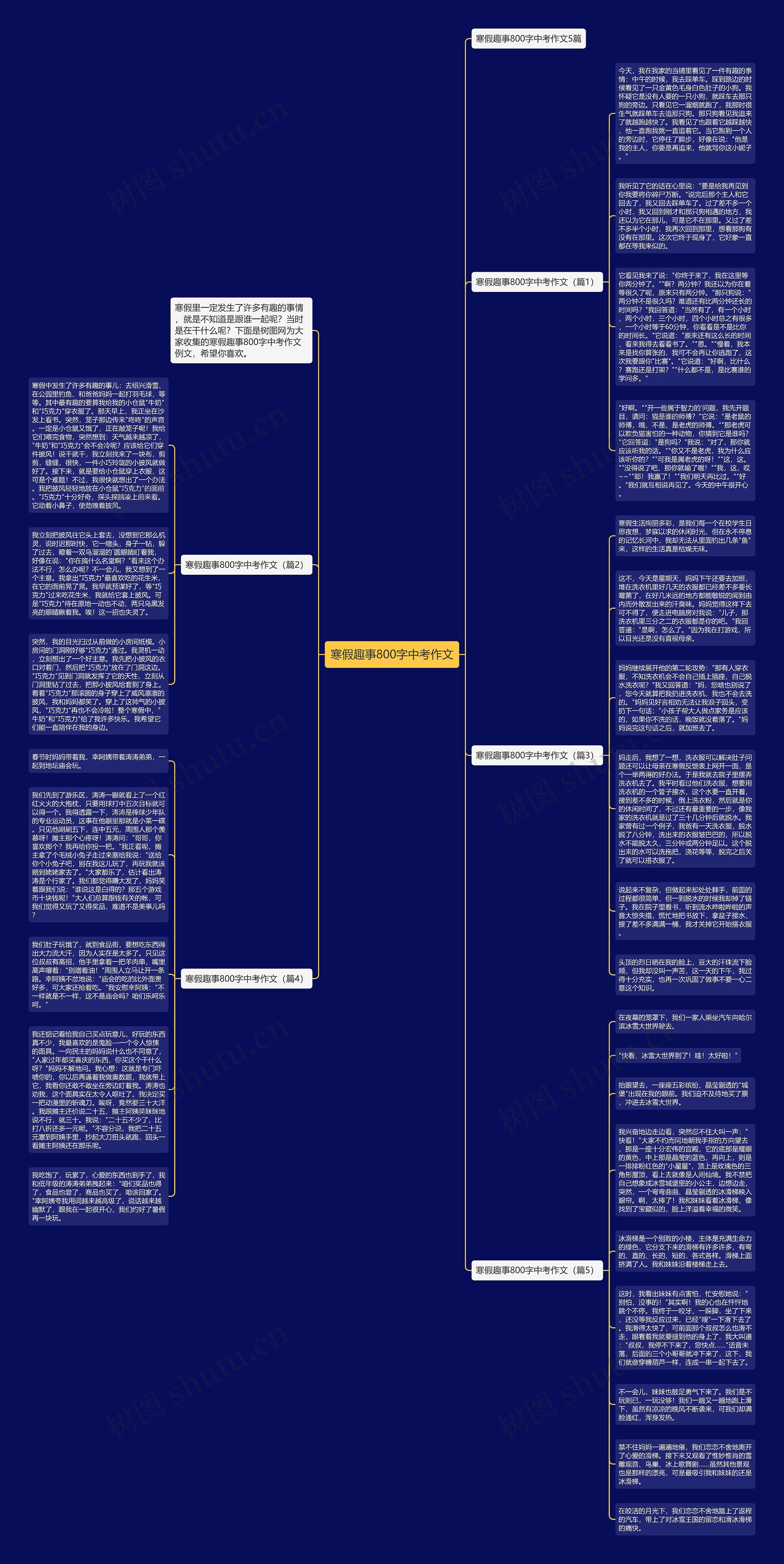 寒假趣事800字中考作文思维导图