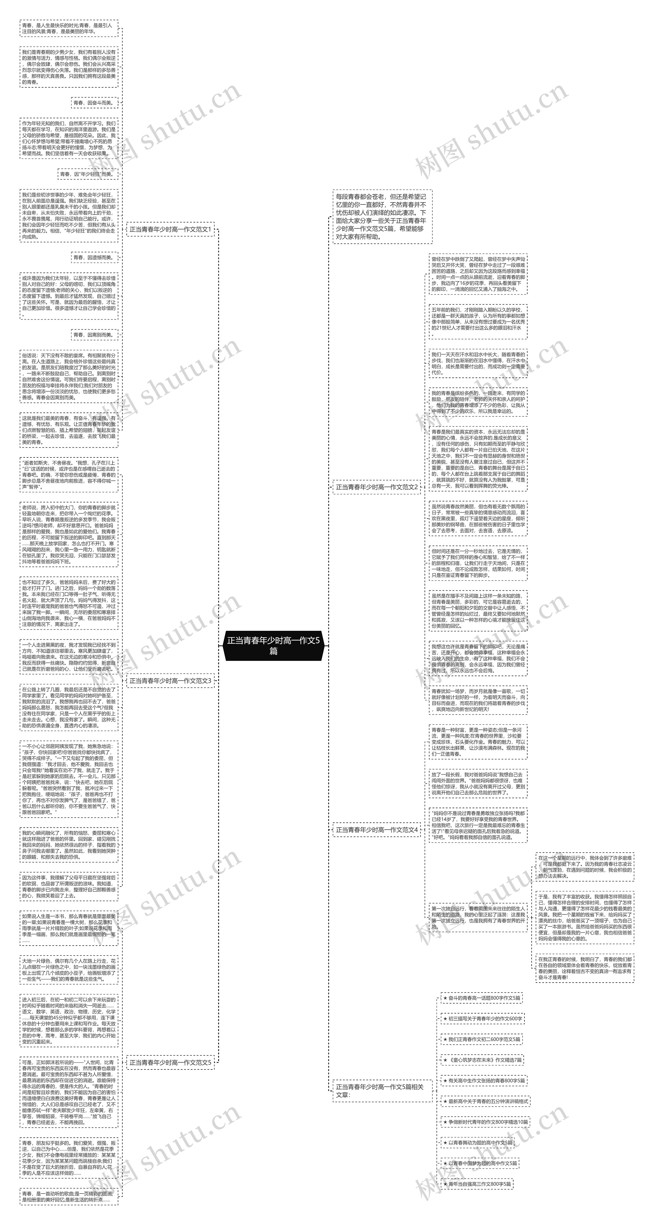 正当青春年少时高一作文5篇思维导图