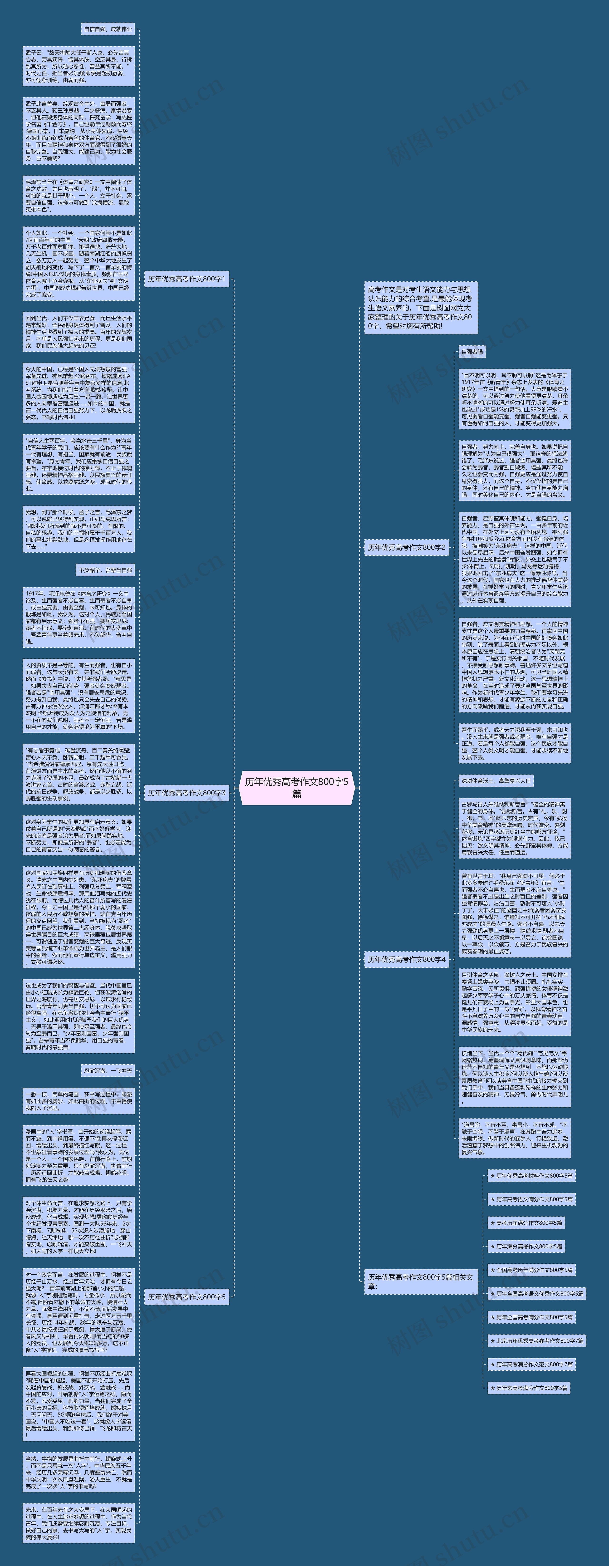 历年优秀高考作文800字5篇思维导图