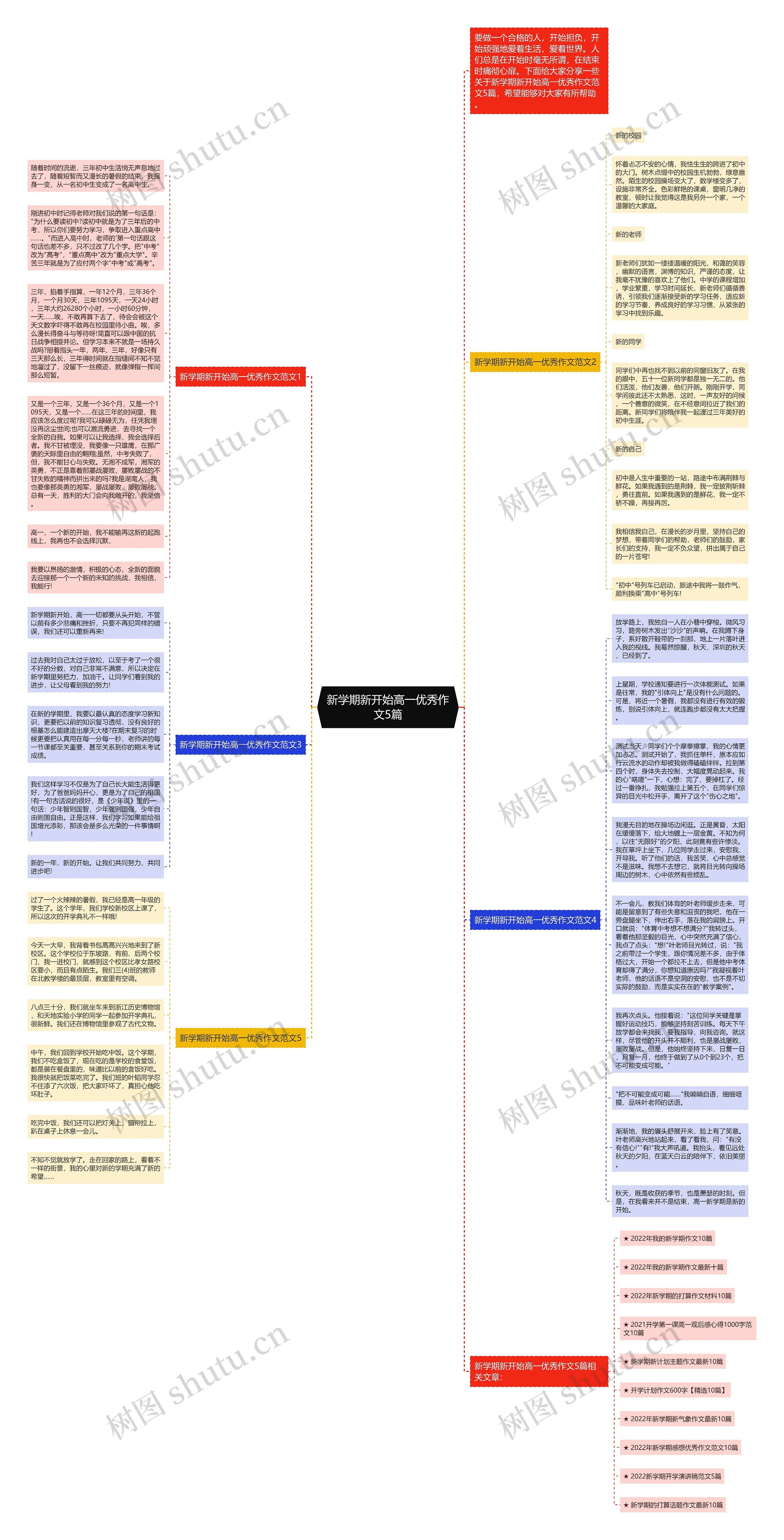 新学期新开始高一优秀作文5篇思维导图