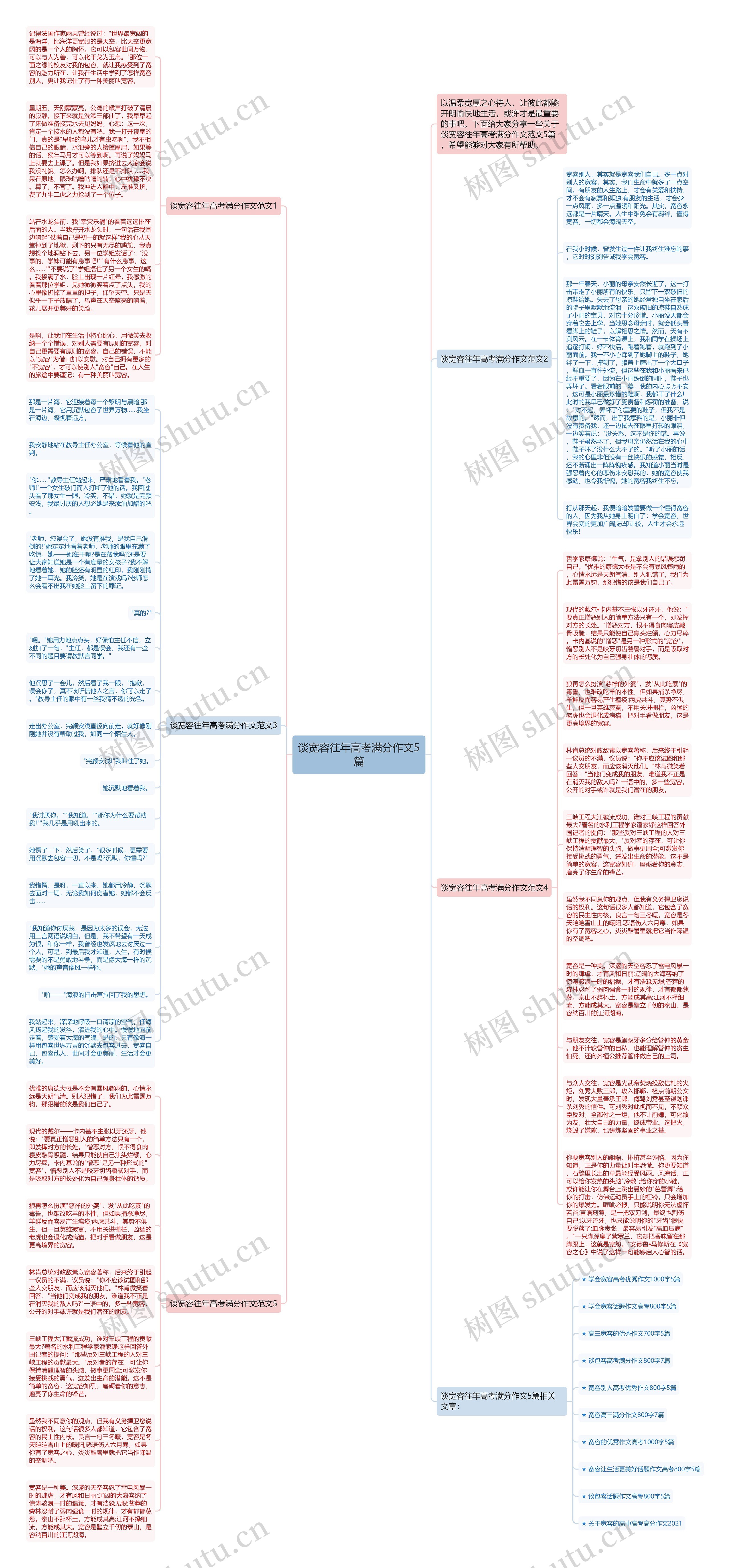 谈宽容往年高考满分作文5篇思维导图