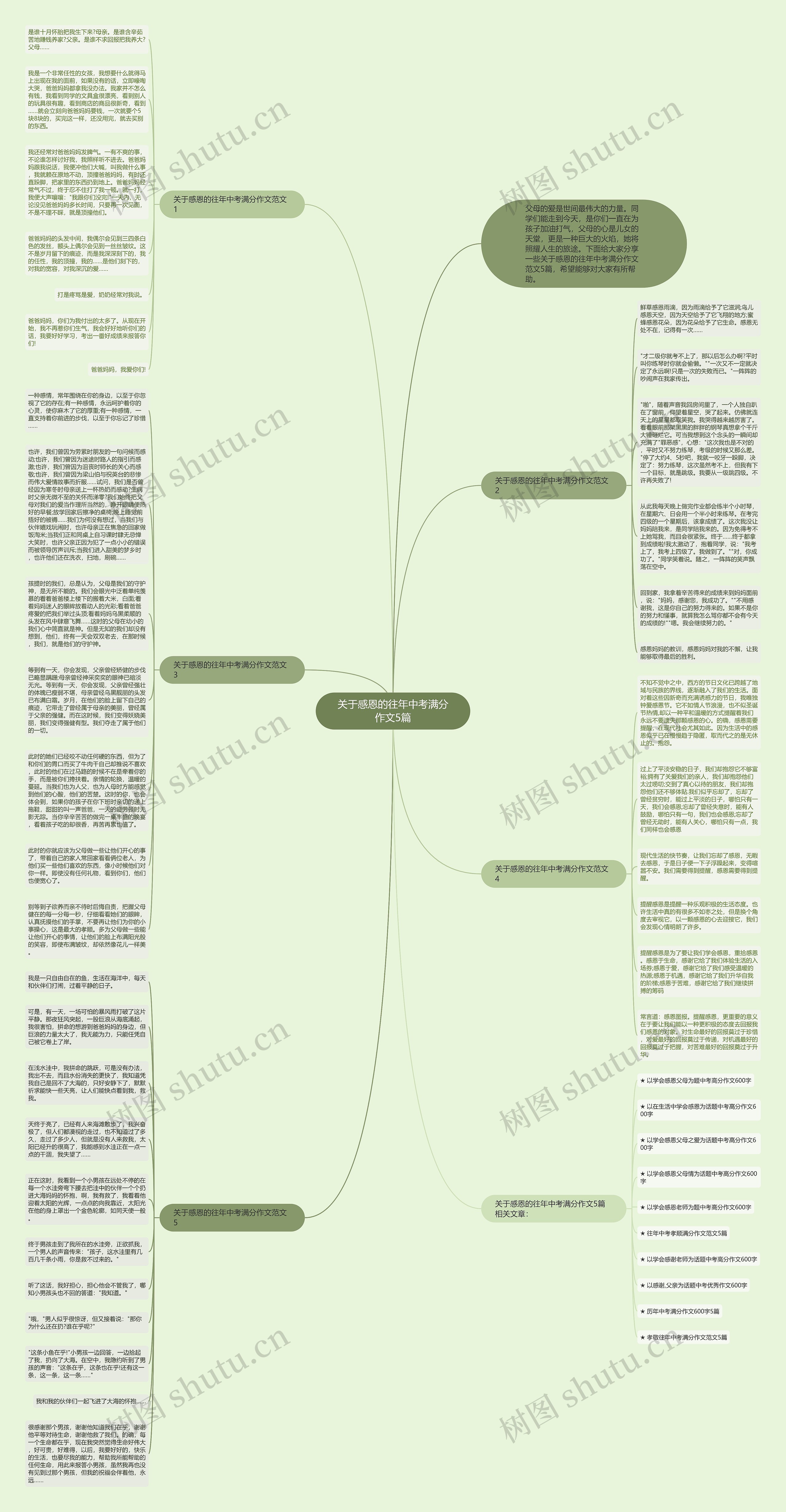关于感恩的往年中考满分作文5篇思维导图高清图 关于感恩的往年中考满分作文5篇思维导图