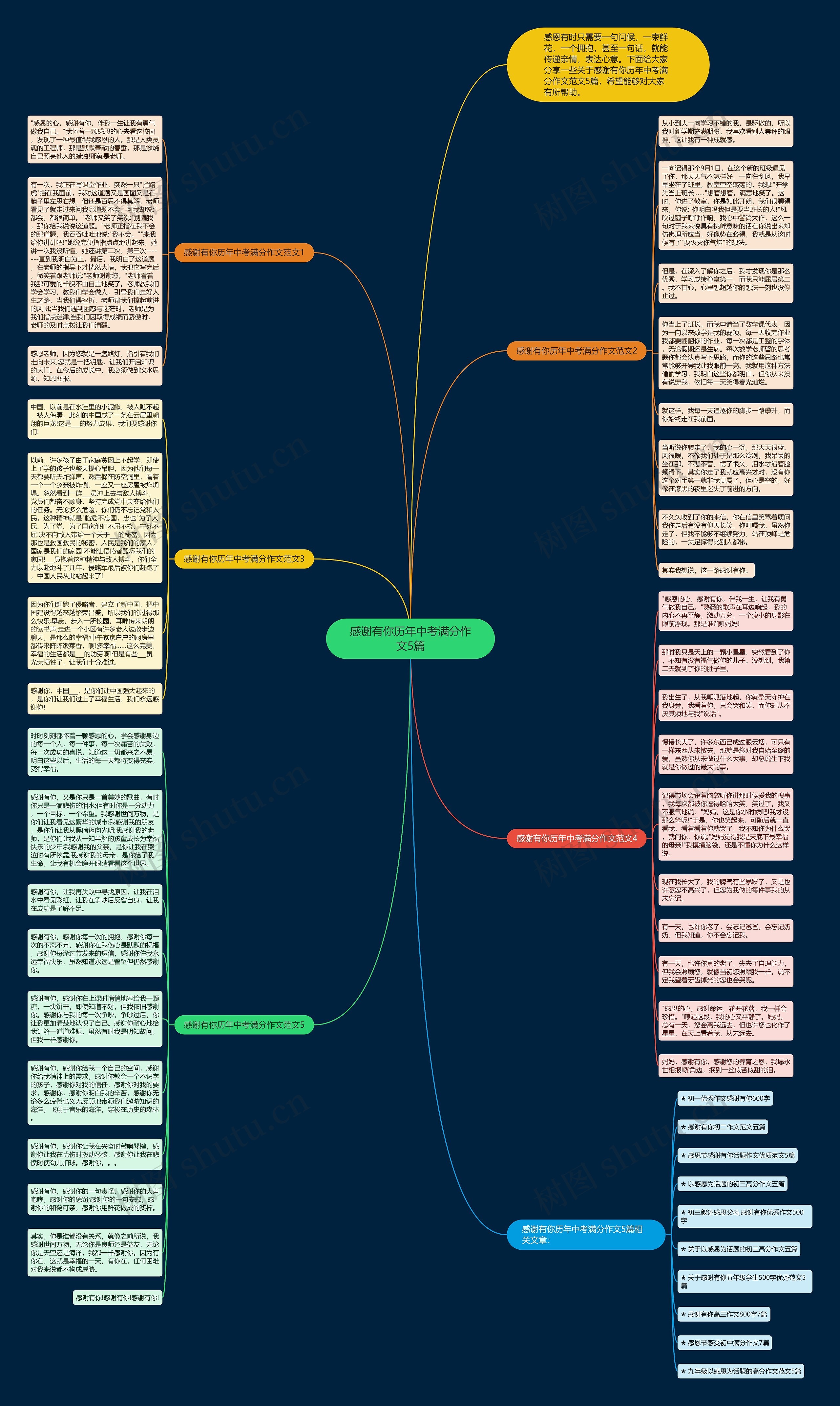 感谢有你历年中考满分作文5篇思维导图