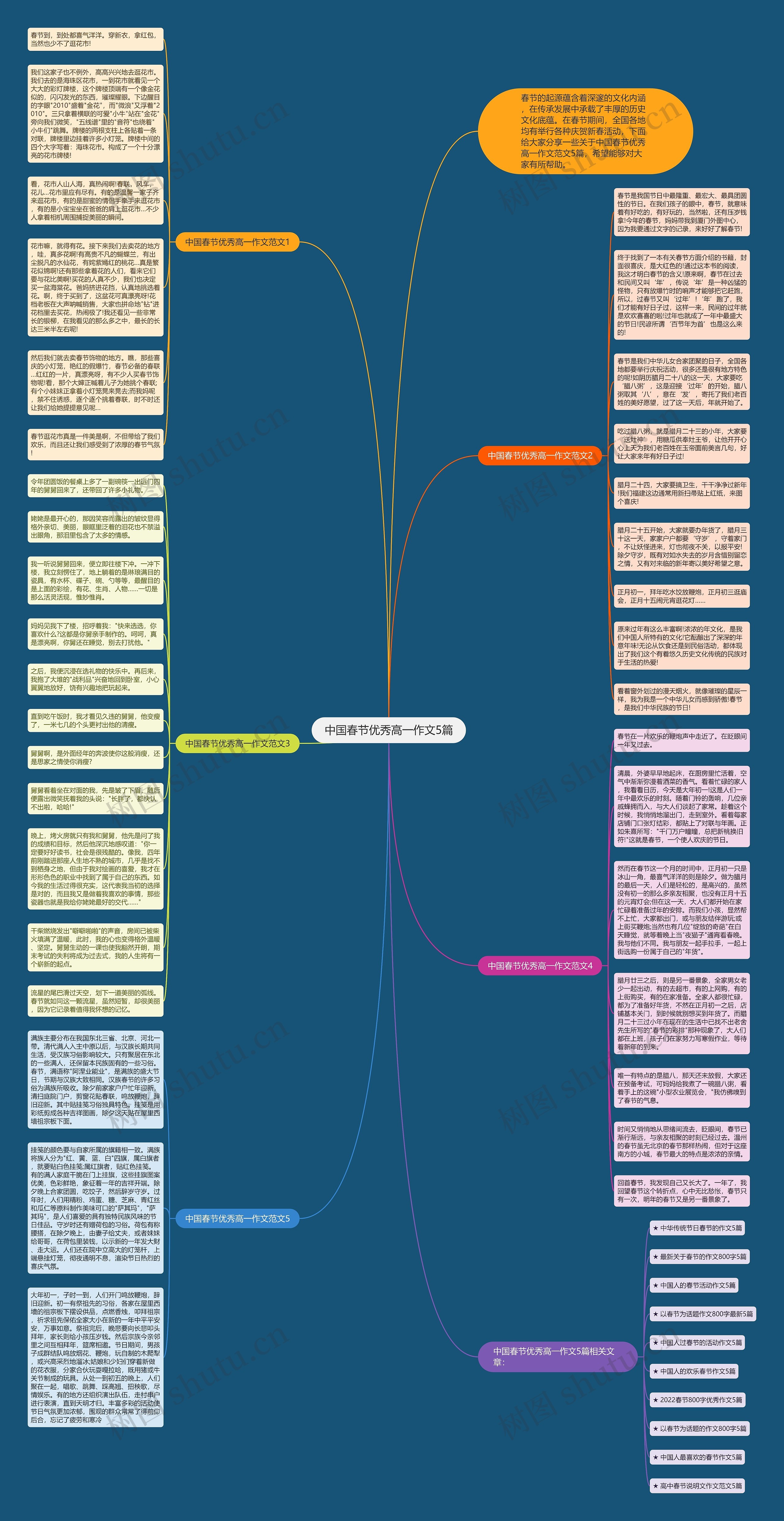 中国春节优秀高一作文5篇思维导图