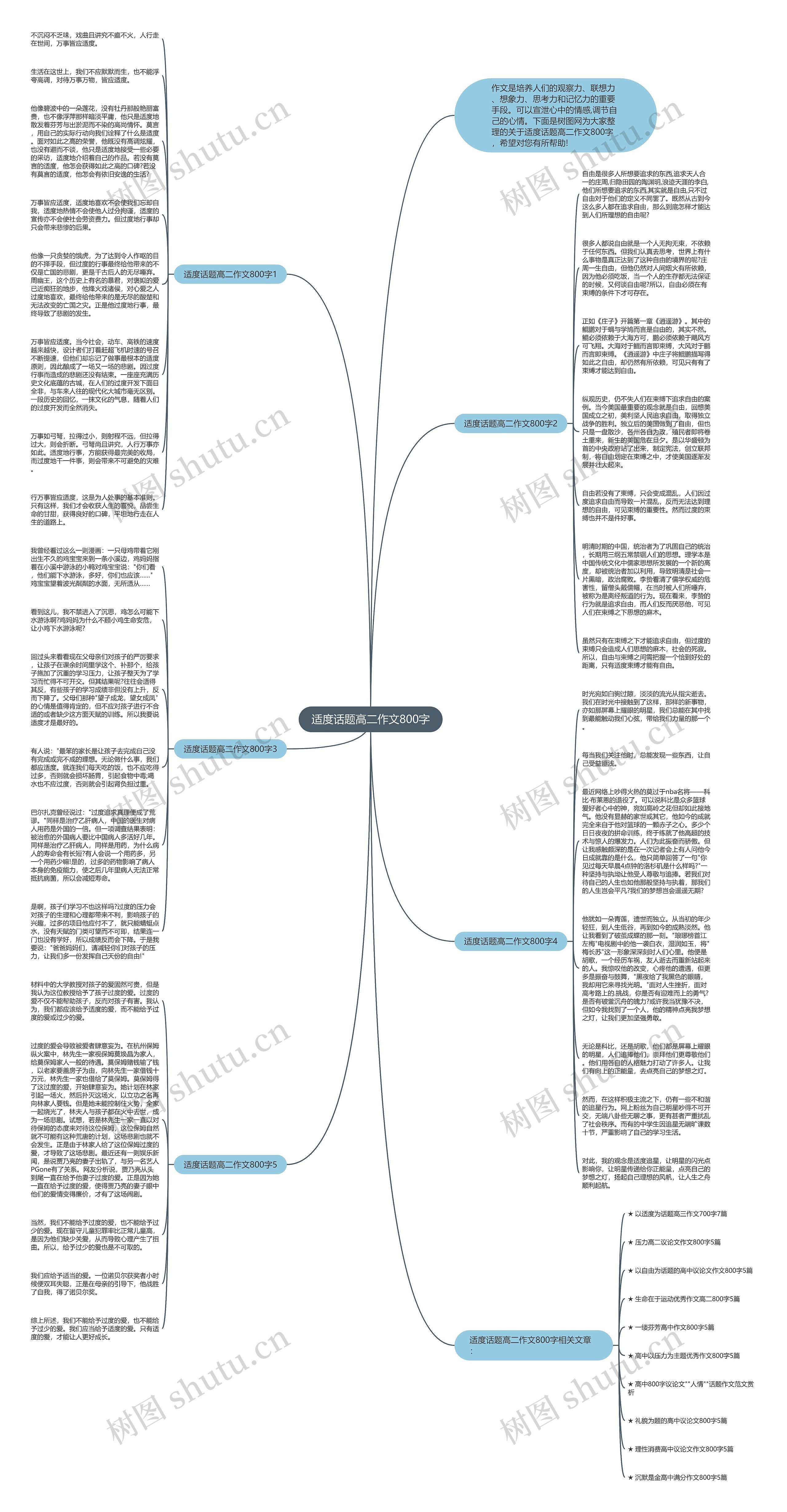 适度话题高二作文800字思维导图