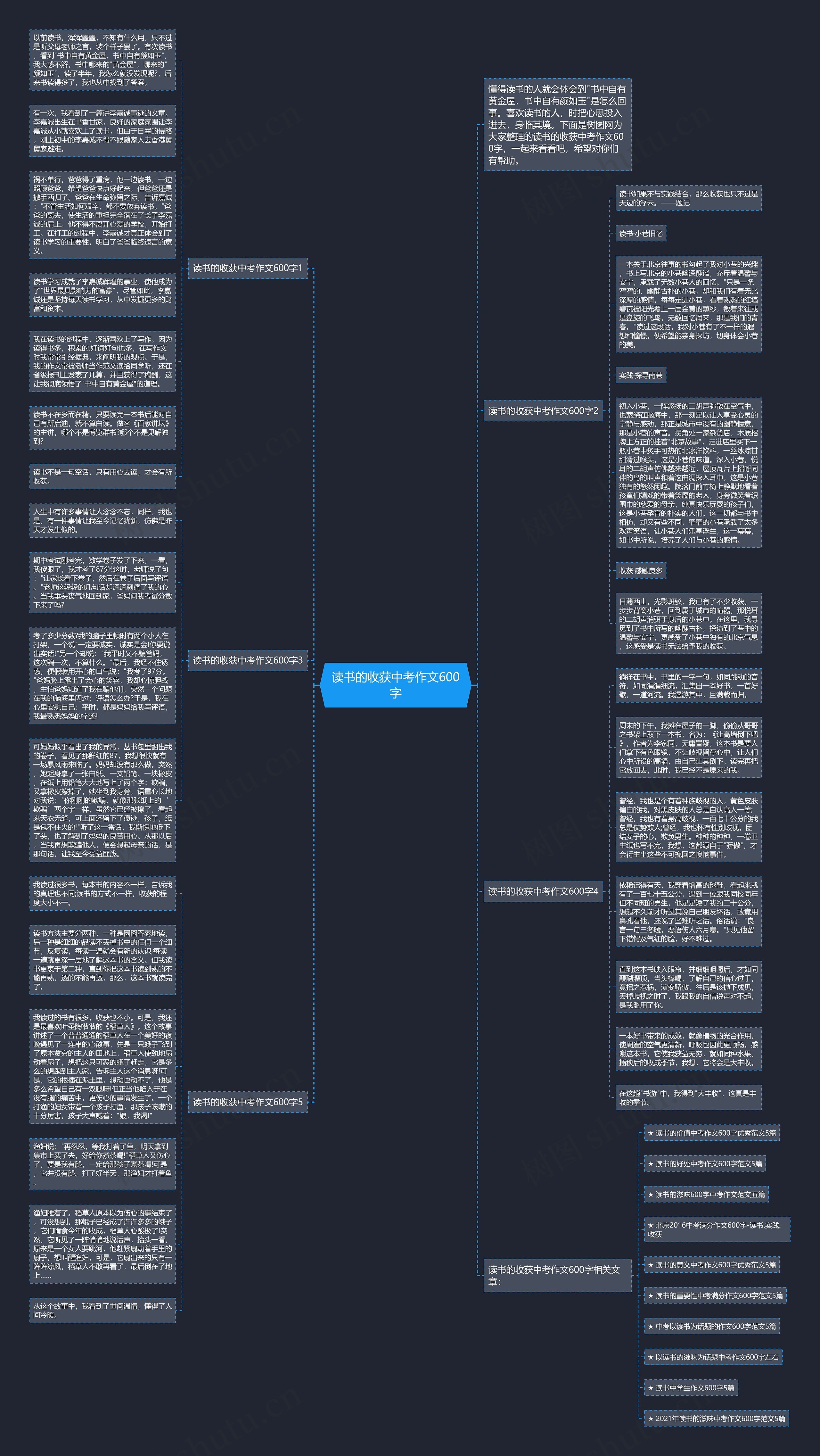 读书的收获中考作文600字思维导图