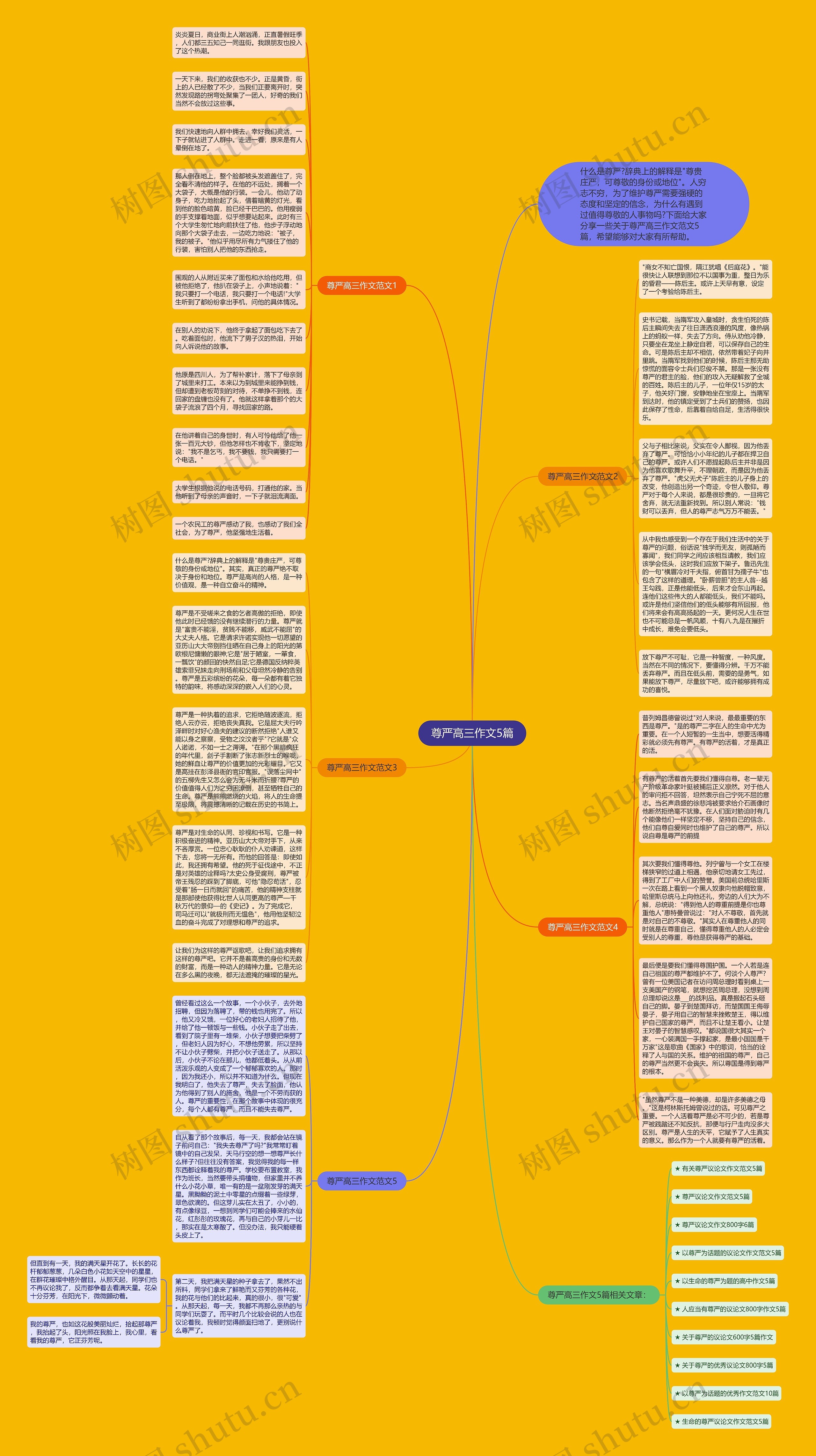 尊严高三作文5篇思维导图