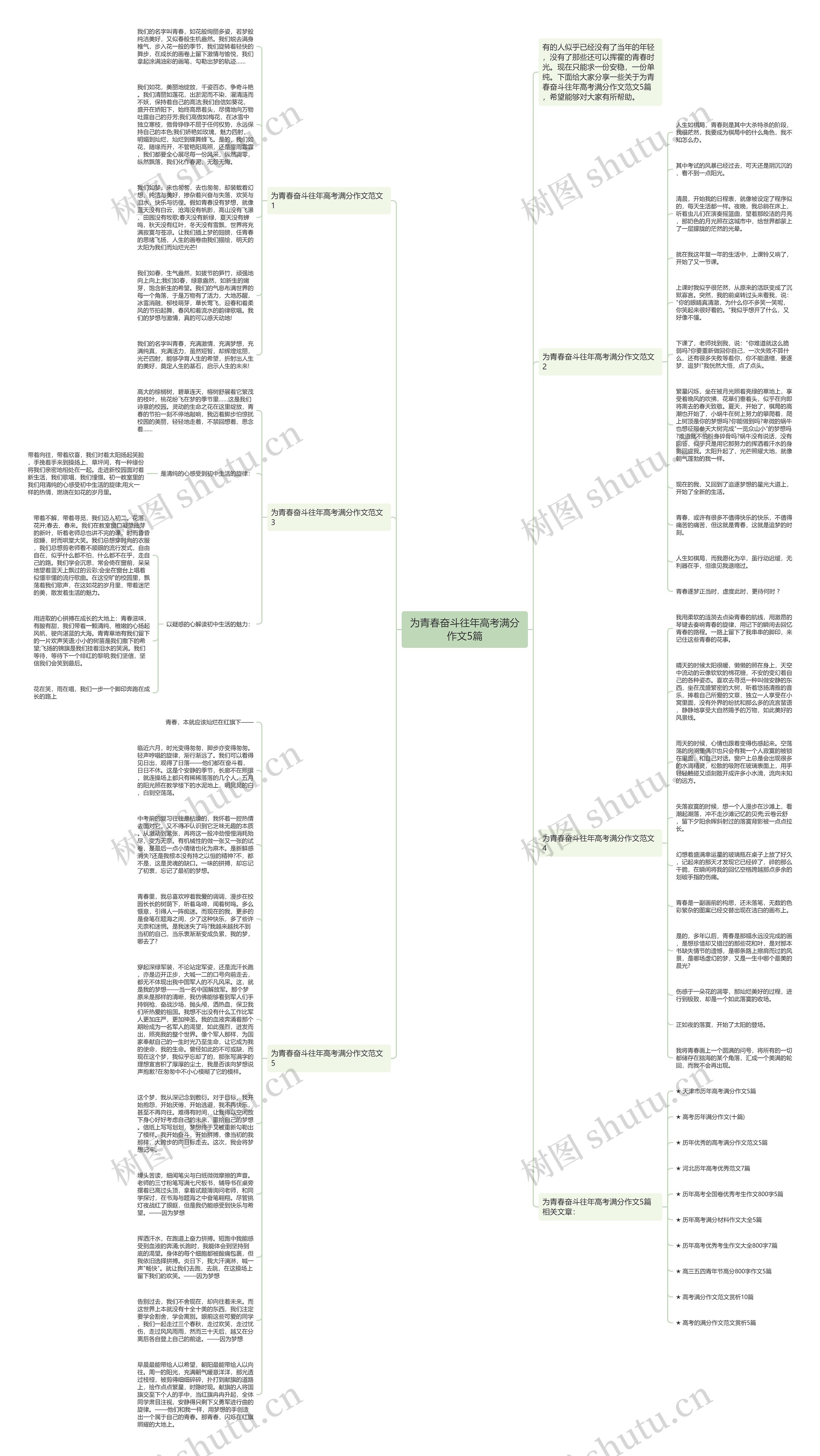 为青春奋斗往年高考满分作文5篇思维导图