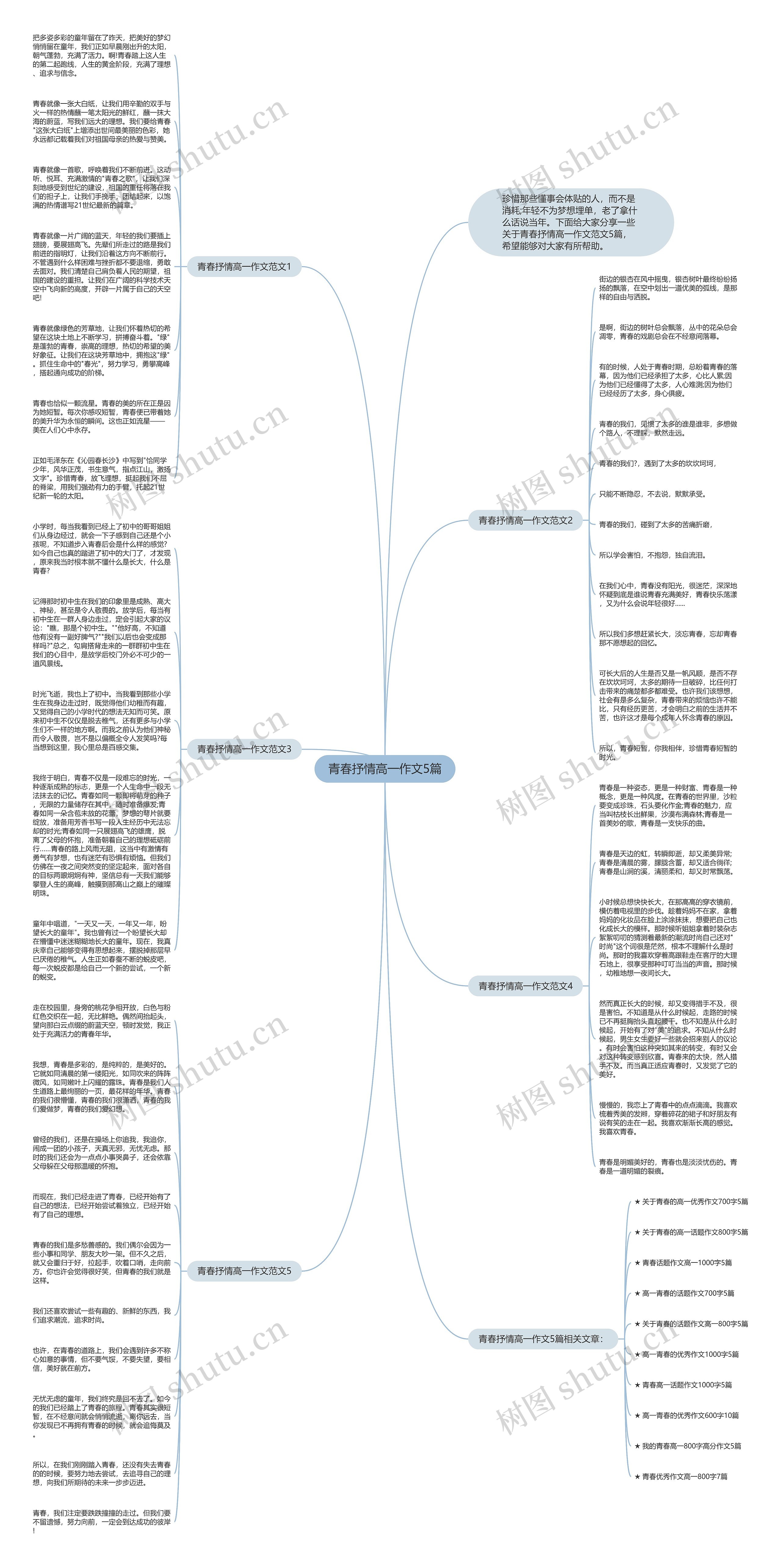 青春抒情高一作文5篇思维导图
