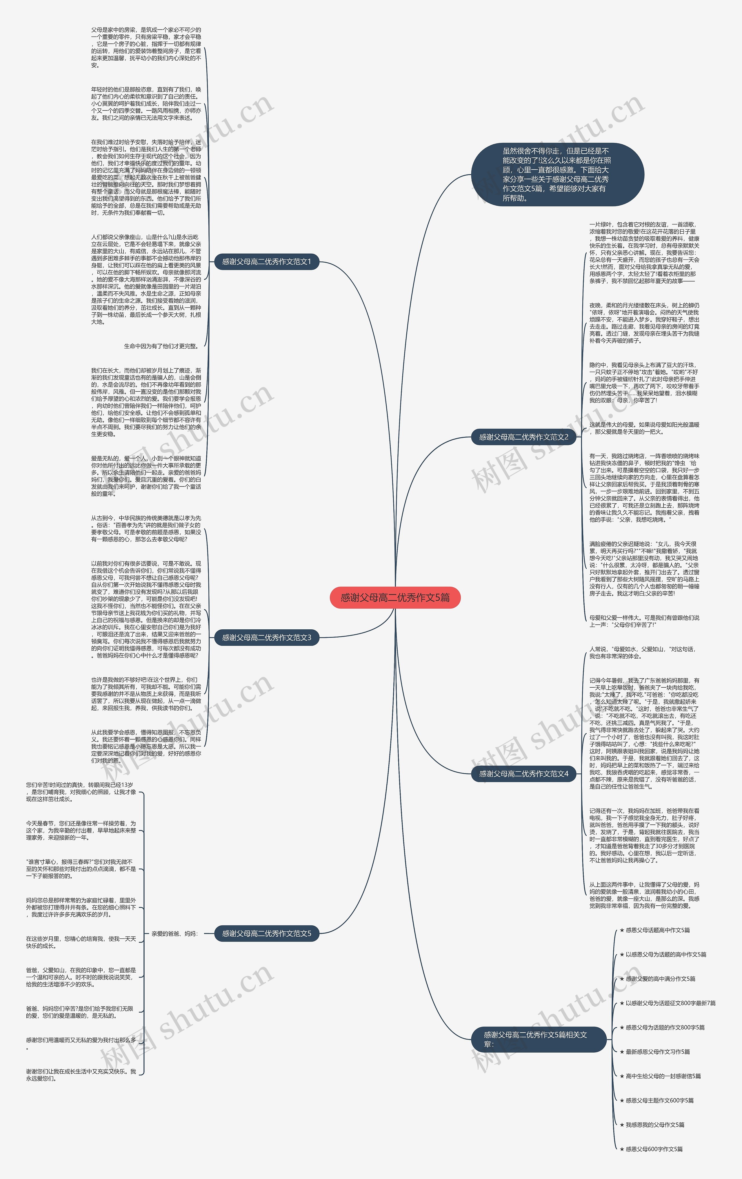 感谢父母高二优秀作文5篇思维导图