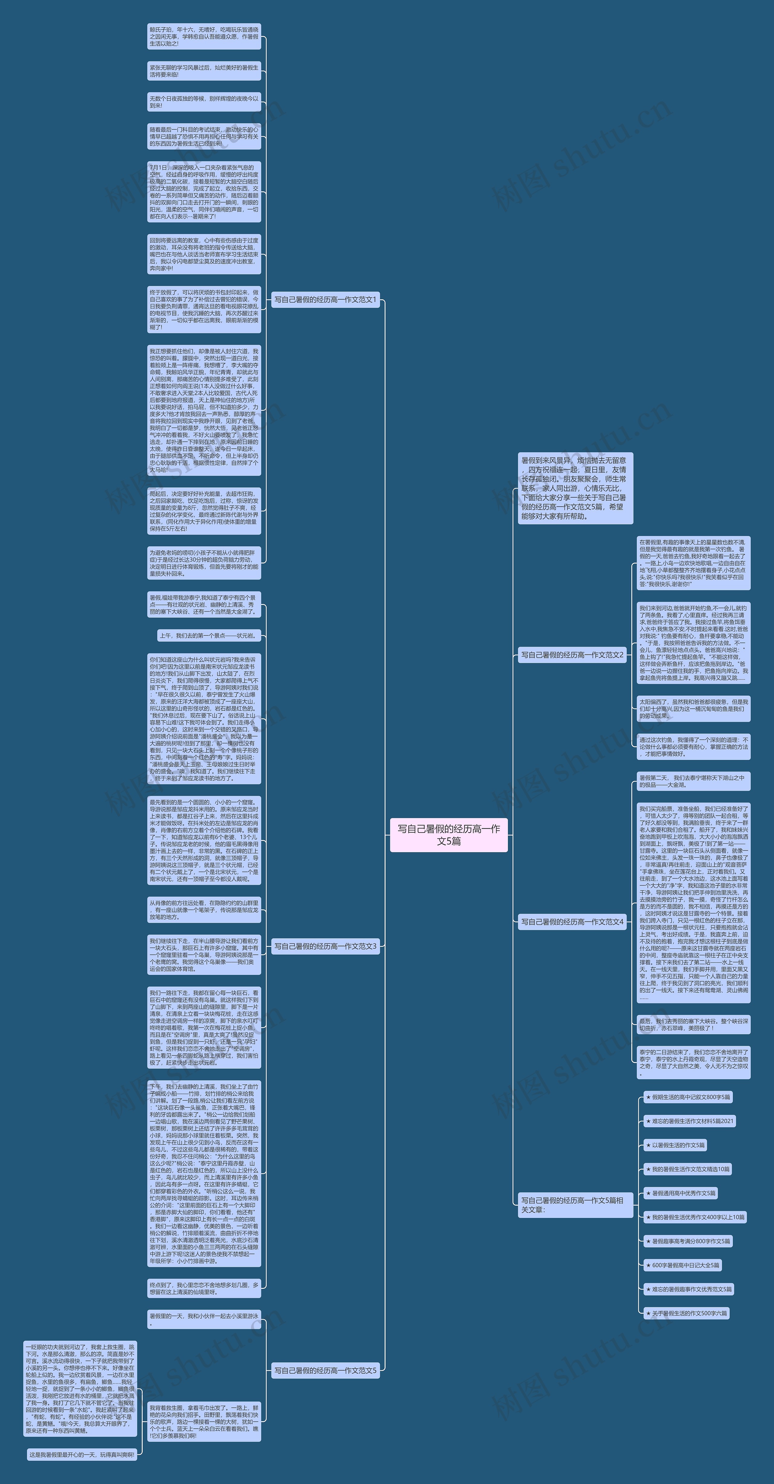 写自己暑假的经历高一作文5篇 写自己暑假的经历高一作文5篇